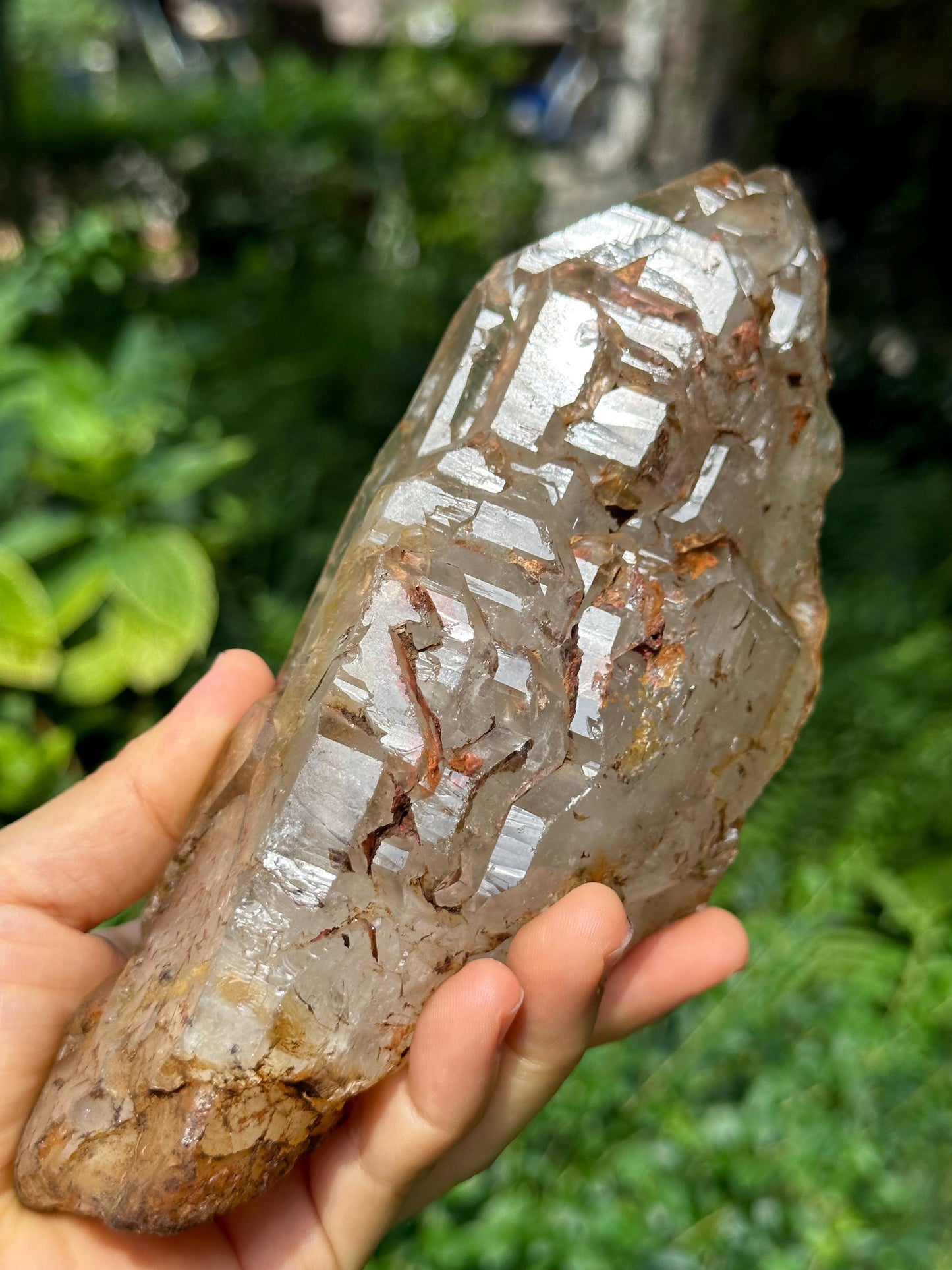 Rare Elestial Castle Skeletal Quartz Fenster Crystal with Golden Clay/Crystal Specimen/Energy Healing Crystals/Meditation-834 g