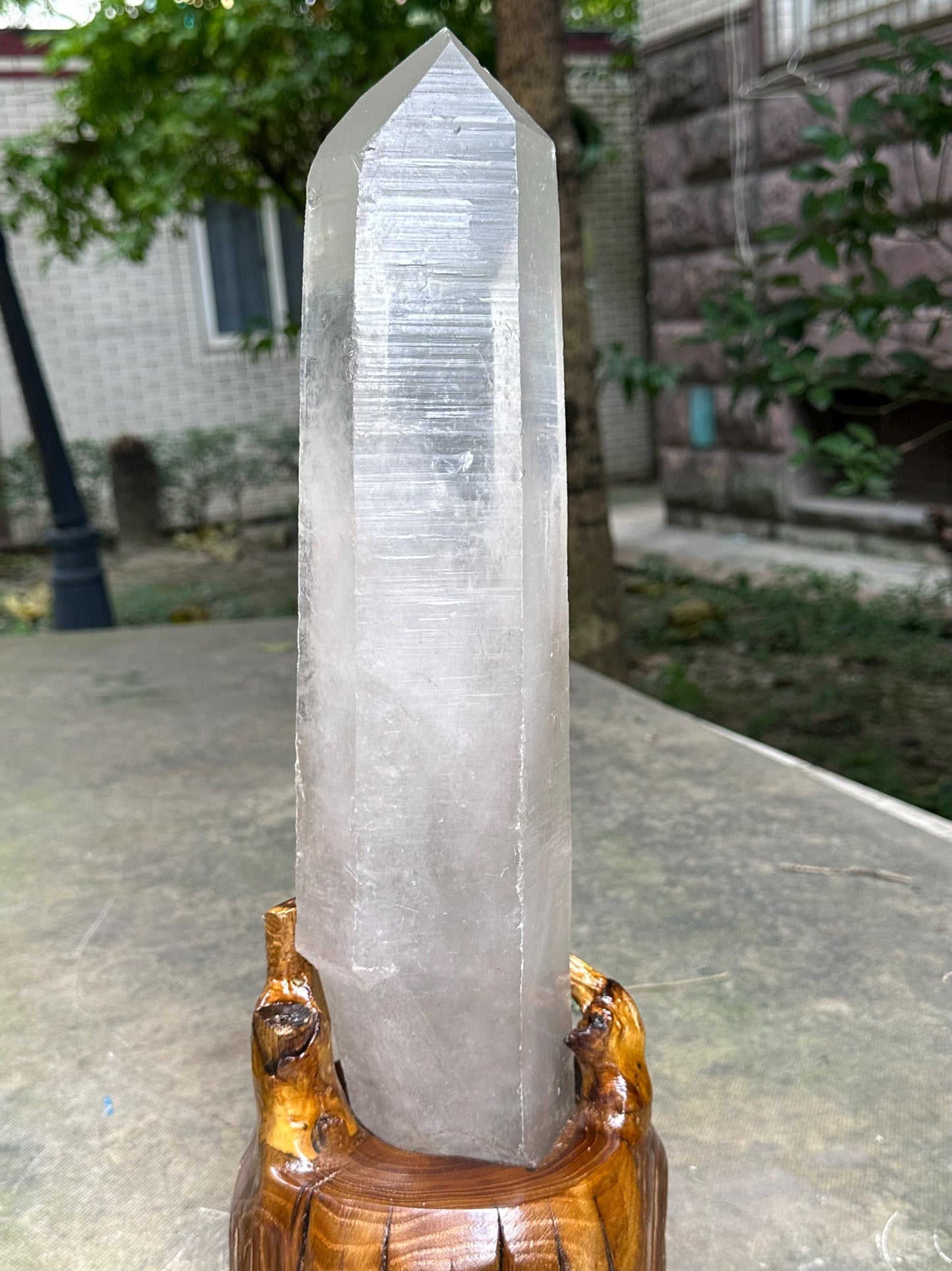 16.7 " RARE EXTRA LONG Himalayan Master Record-keeper Channeling Quartz Crystal Point/Energy Crystal/Reiki/Healing Crystal/Meditation-4809 g