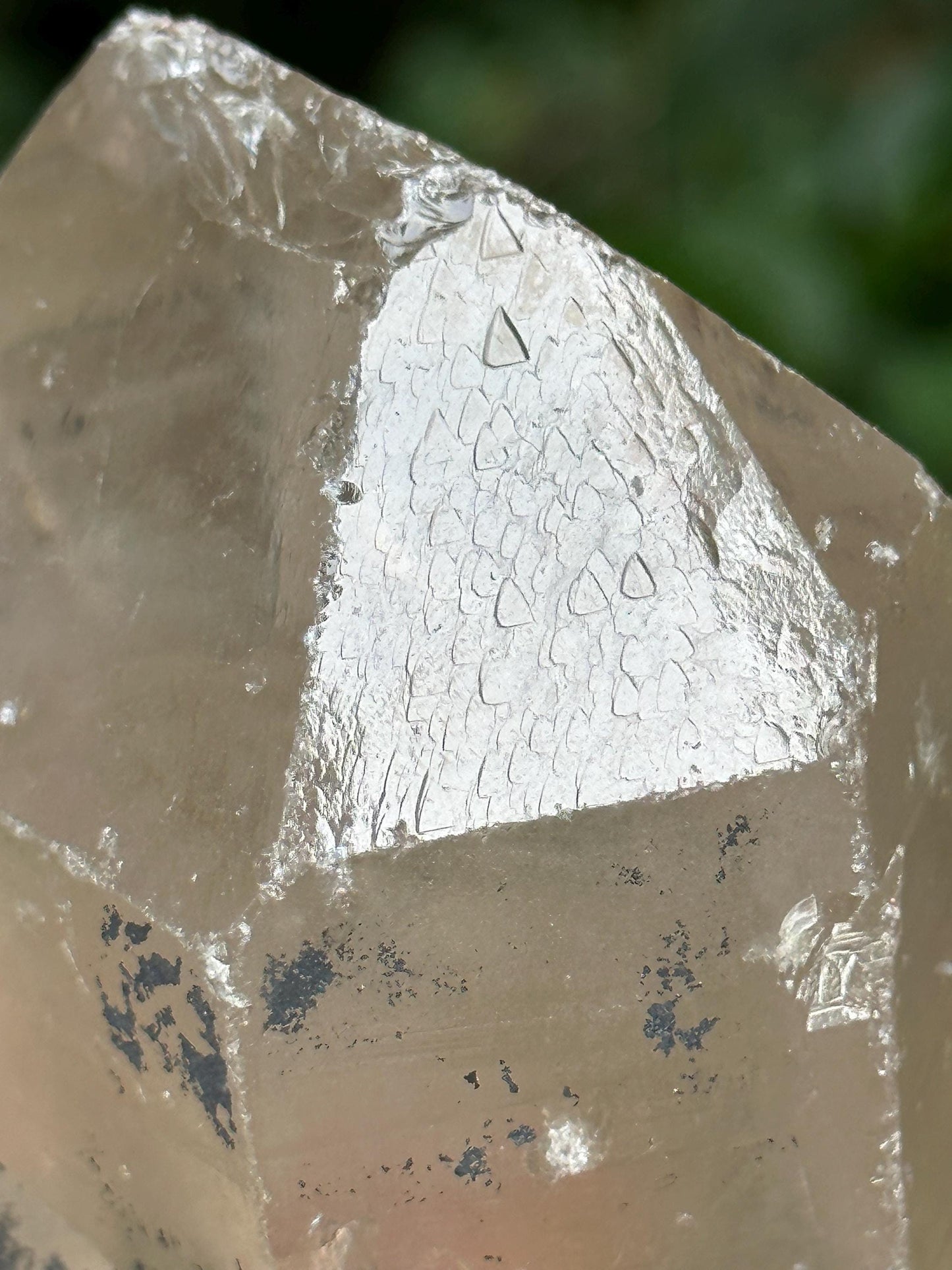 You Pick! Himalayan Record-keeper Quartz Crystal/Triangle Record-keeper Marks Crystal/Energy Crystal/Reiki/Healing Crystal/Meditation