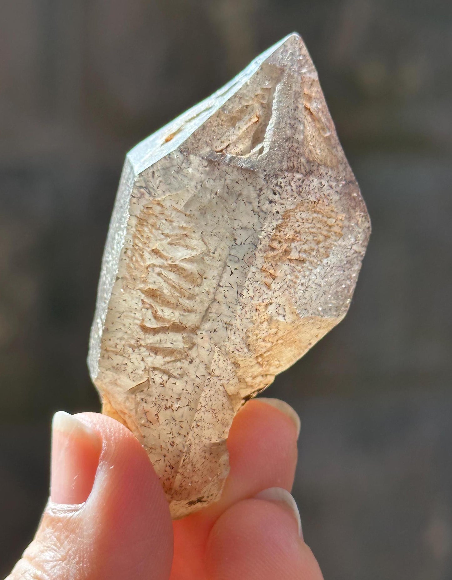 Old-Mined Skeletal Quartz Fenster Crystal with Goethite +Hematite+Biotite Included/Crystal Specimen/Energy Healing Crystals/Meditation-44 g