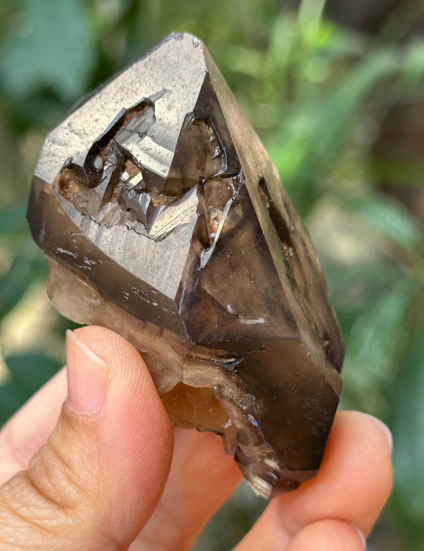 Natural Skeletal Smoky Quartz Fenster Scepter Crystal/Reiki/Crystal Specimen/Energy Healing Crystals/Meditation-93 g