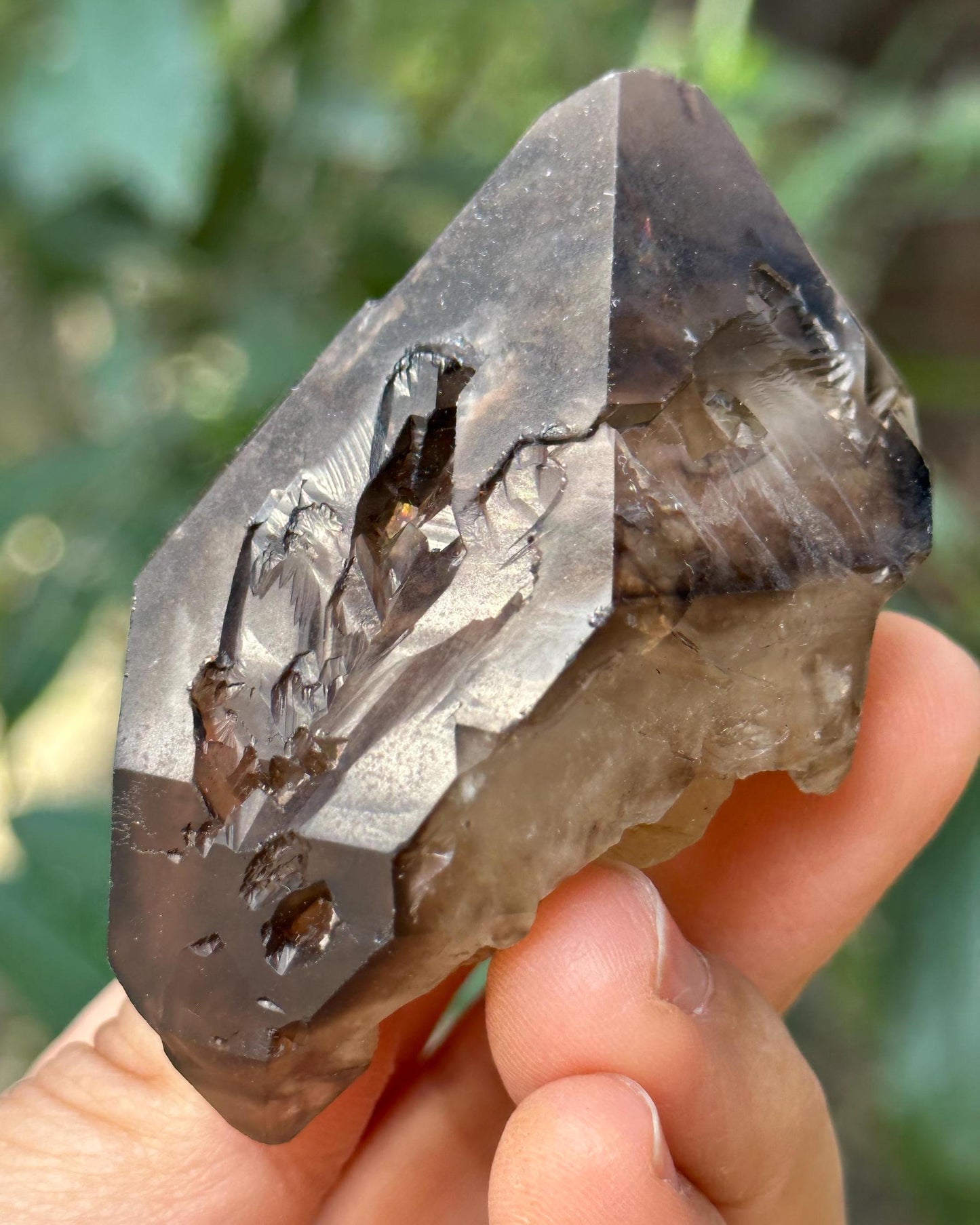 Natural Skeletal Smoky Quartz Fenster Scepter Crystal/Reiki/Crystal Specimen/Energy Healing Crystals/Meditation-93 g