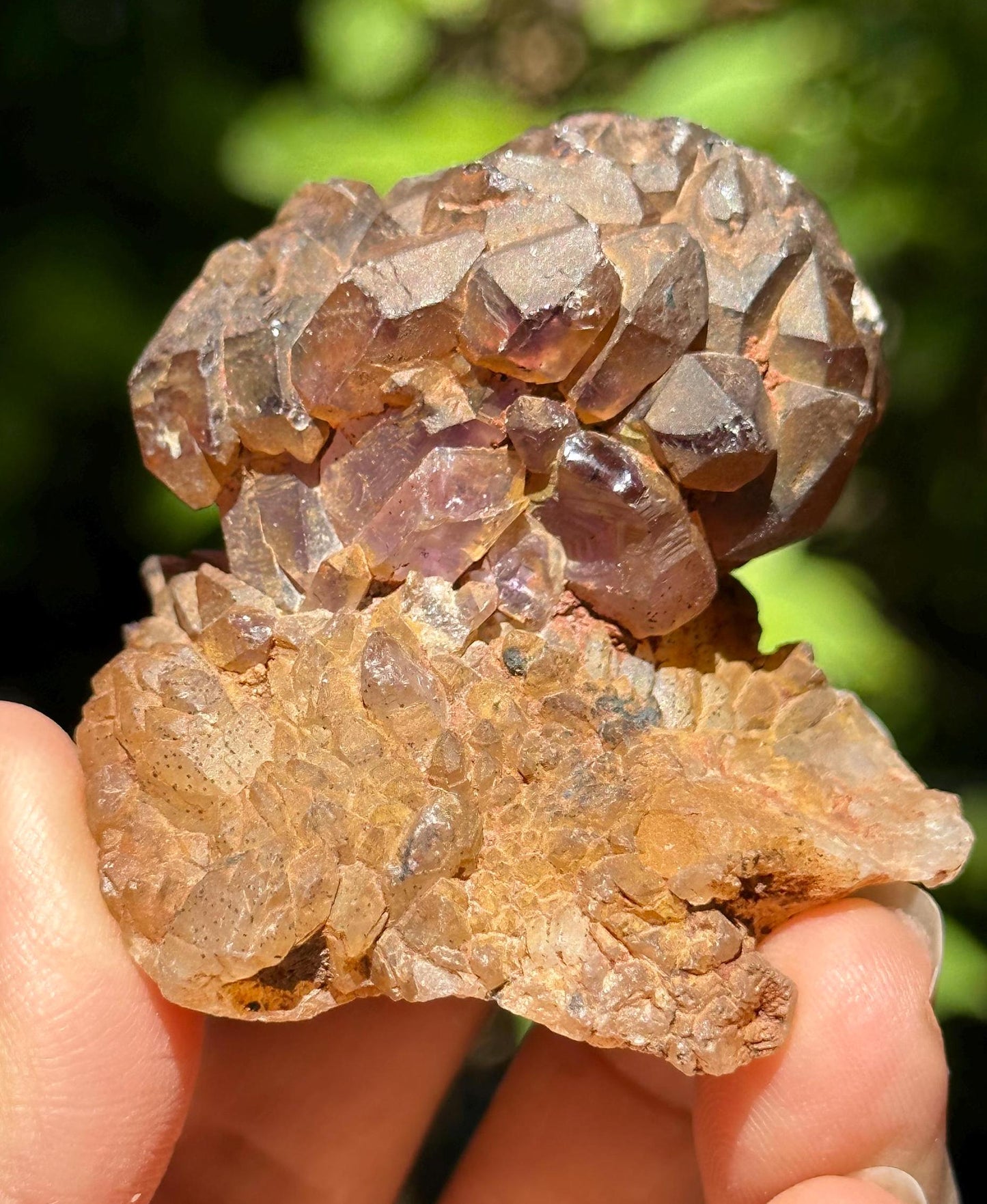 Rare Scepter Super 7 Amethyst Crystal Globular Cluster/Skeletal Quartz Crystal/Specimen/Crystal Collection/Meditation/Reiki/Healing - 83 g