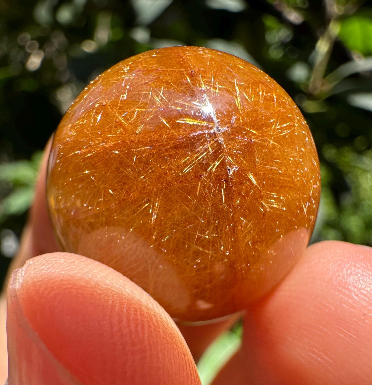 Dazzling Golden Rutile Quartz Crystal Sphere/Clear Golden Needle Include in Natural Clear Crystal Ball/Inclusion Quartz Crystal Orb-23 mm