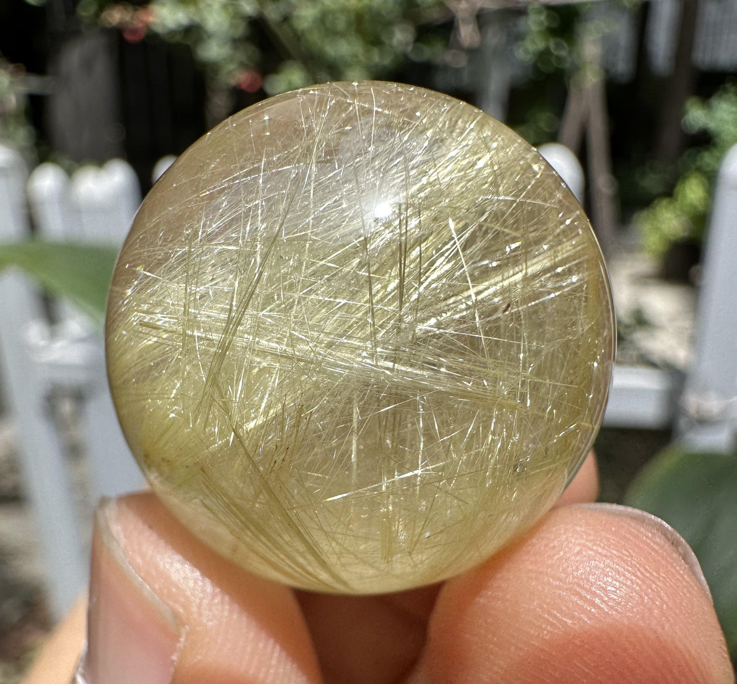 Dazzling Golden Rutile Quartz Crystal Sphere/Clear Golden Needle Include in Natural Clear Crystal Ball/Inclusion Quartz Crystal Orb-26 mm