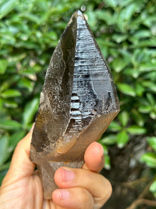 Rare Laser Smoky Quartz Crystal Wand/Energy Crystal Reiki/Healing/Meditation/Collection/Generator Crystal -374 g