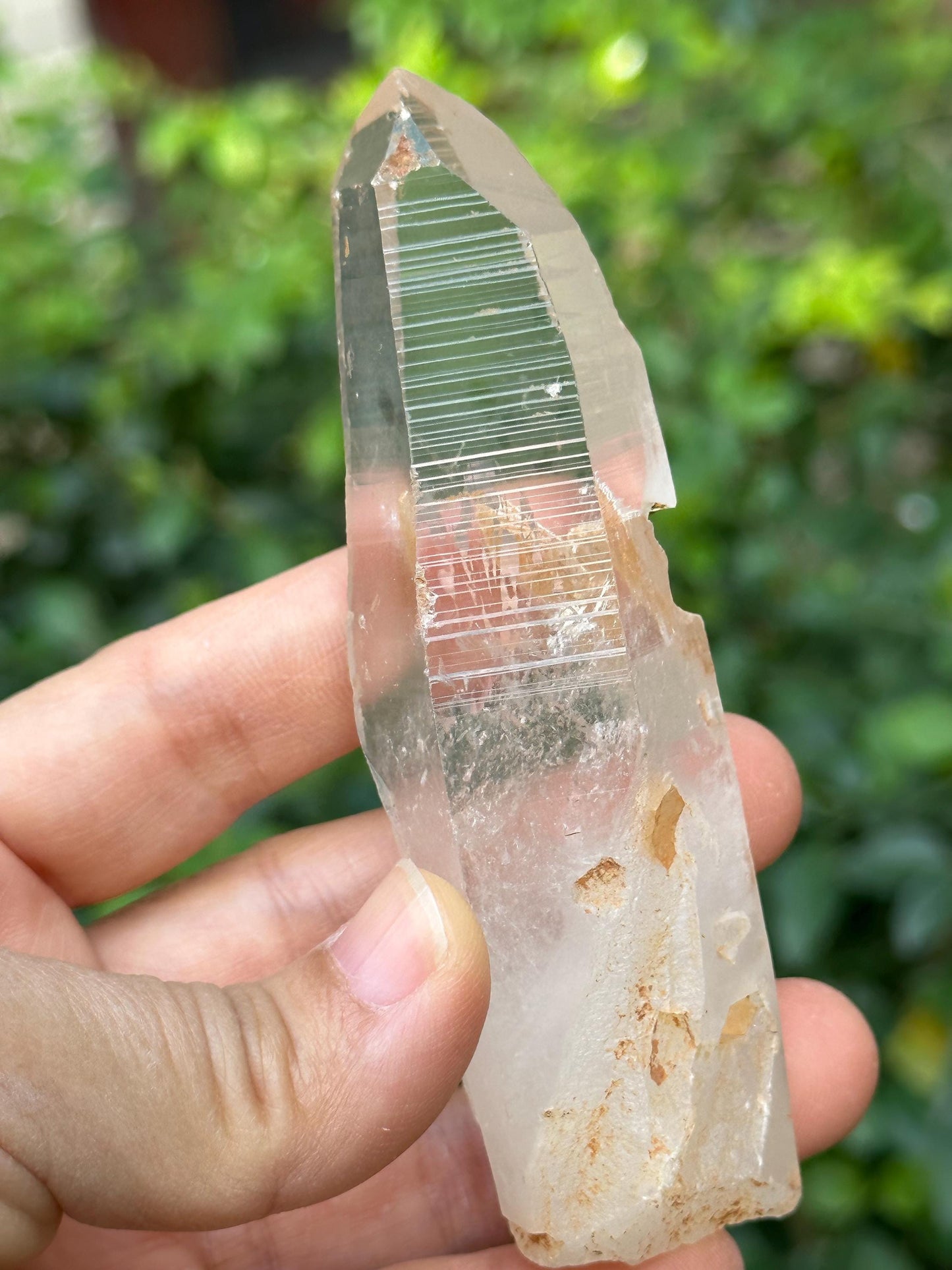 Perfect Clear Himalayan Lemurian Seeds Quartz Crystal/Inner Child/Akashic Striation Energy Crystal/Reiki/Healing Crystal/Meditation-109 g