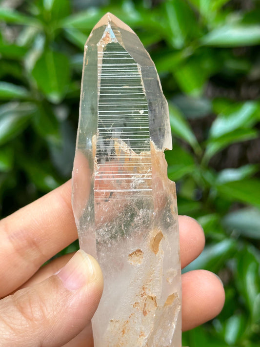 Perfect Clear Himalayan Lemurian Seeds Quartz Crystal/Inner Child/Akashic Striation Energy Crystal/Reiki/Healing Crystal/Meditation-109 g