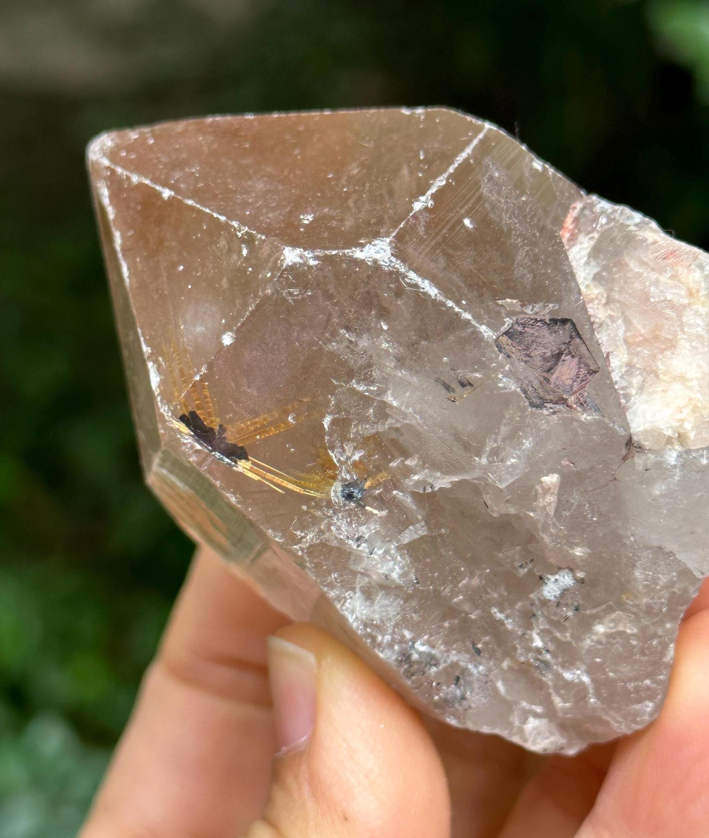 Raw Golden Star Rutile Quartz Crystal Point/Quartz Inclusion/Energy Crystal/Meditation/Healing -173 g