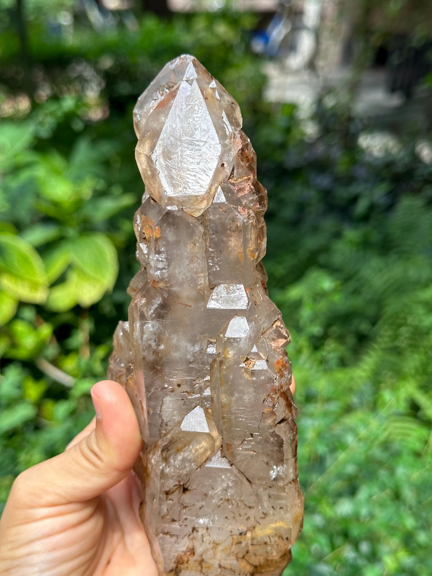 Rare Elestial Castle Skeletal Quartz Fenster Crystal with Golden Clay/Crystal Specimen/Energy Healing Crystals/Meditation-834 g