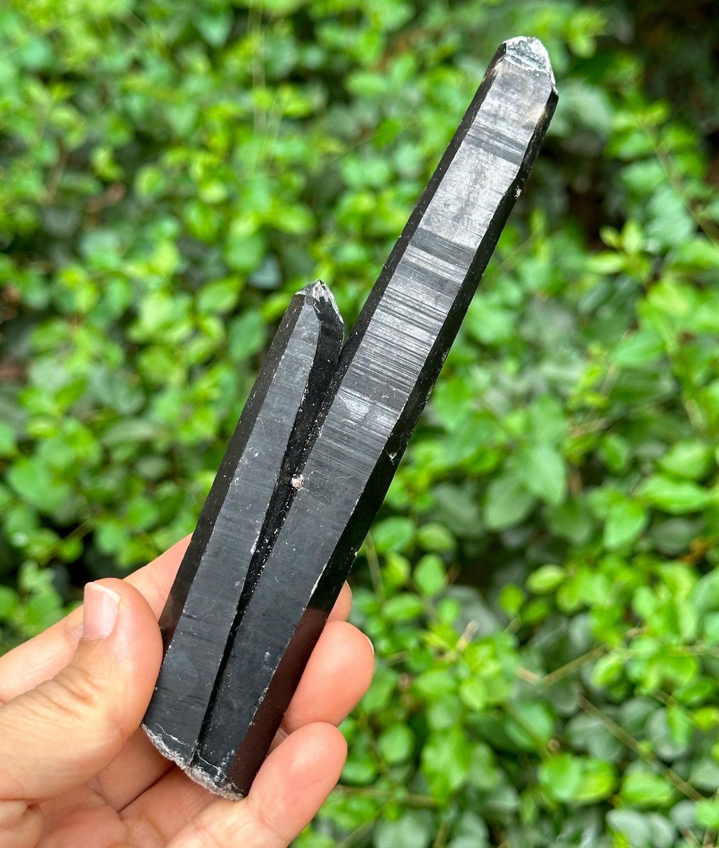 Long Shining Laser Black Morion Quartz Twins Crystal Point for Mediation,Zen,Reiki,Aura Crystal Wand,Generator Crystal-157*30*21 mm 118 g