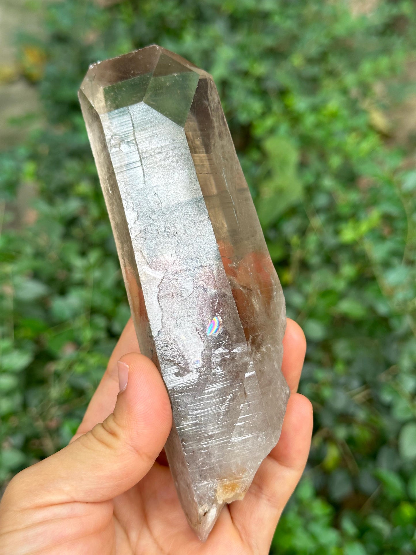 Natural Clear Time Links Smoky Quartz Crystal/Energy Crystal/Reiki/Healing Crystal/Meditation-293 g