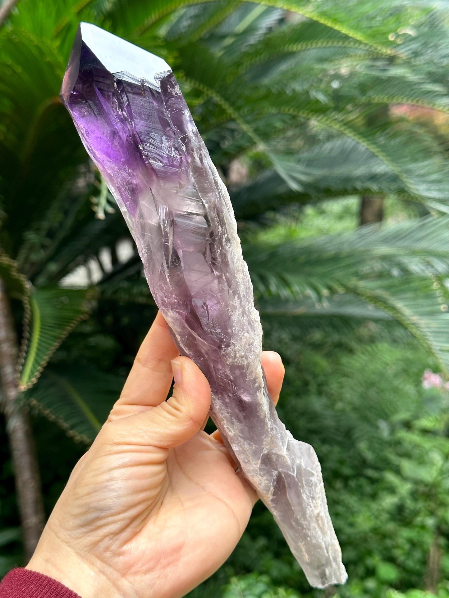 10" Extra Long Clear Scepter Amethyst Quartz Crystal/Energy Quartz/Meditation/Healing Crystal/Crystal Wand-524 g