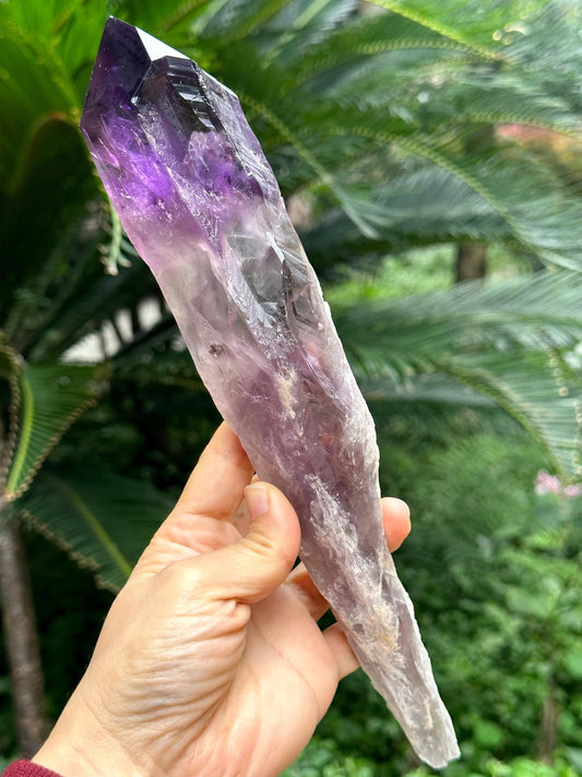 10" Extra Long Clear Scepter Amethyst Quartz Crystal/Energy Quartz/Meditation/Healing Crystal/Crystal Wand-524 g