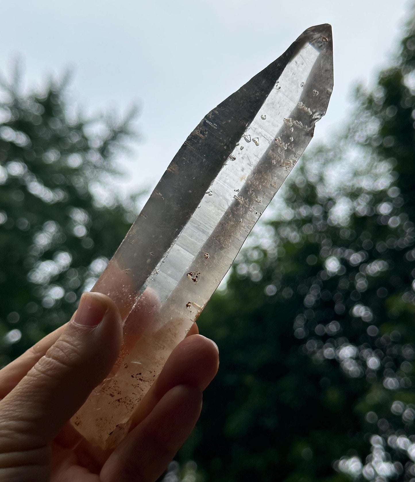 Clear Raw Muzo Lemurian Seeds Quartz Crystal/Muzo Laser Knife Crystal/Akashic Striation/Healing/Meditation-156 g