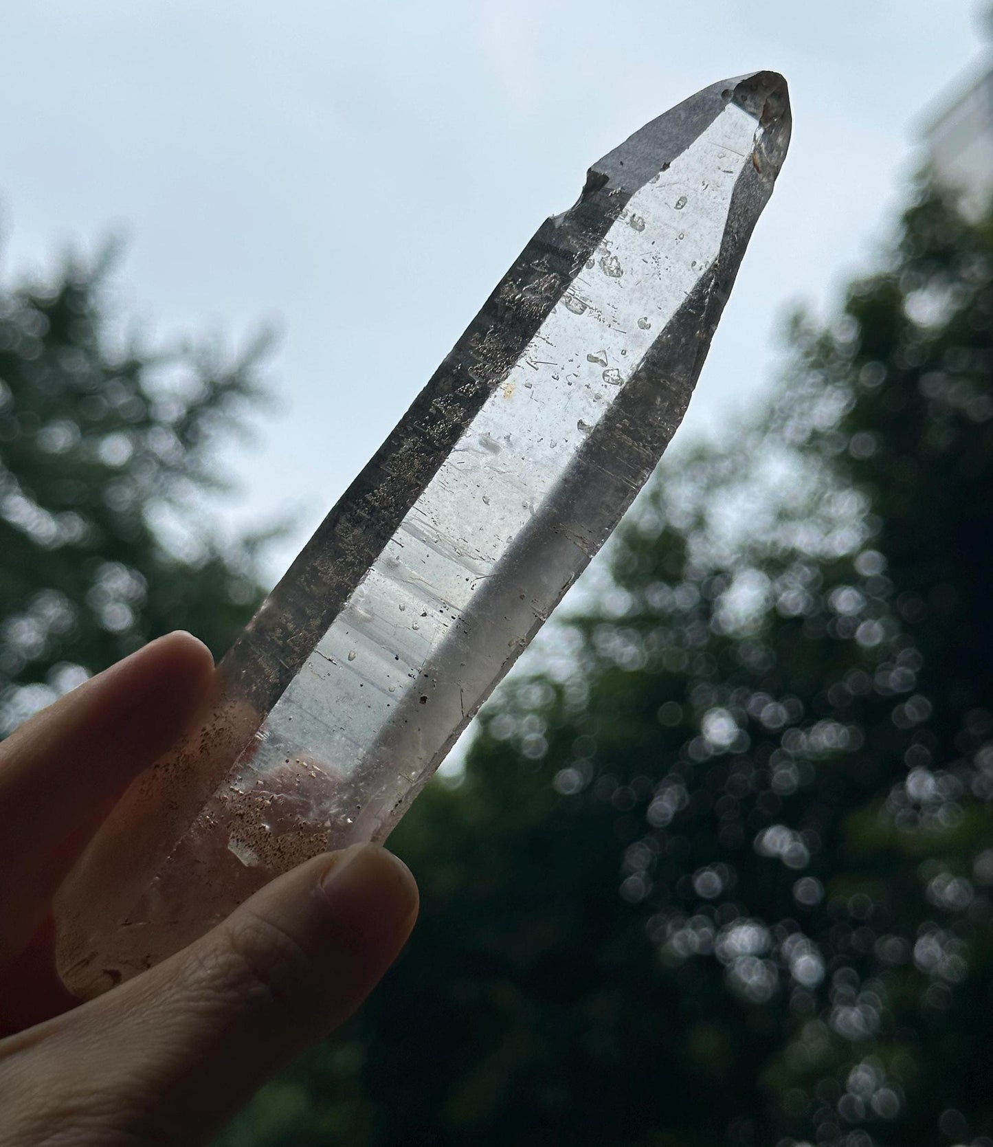 Clear Raw Muzo Lemurian Seeds Quartz Crystal/Muzo Laser Knife Crystal/Akashic Striation/Healing/Meditation-156 g