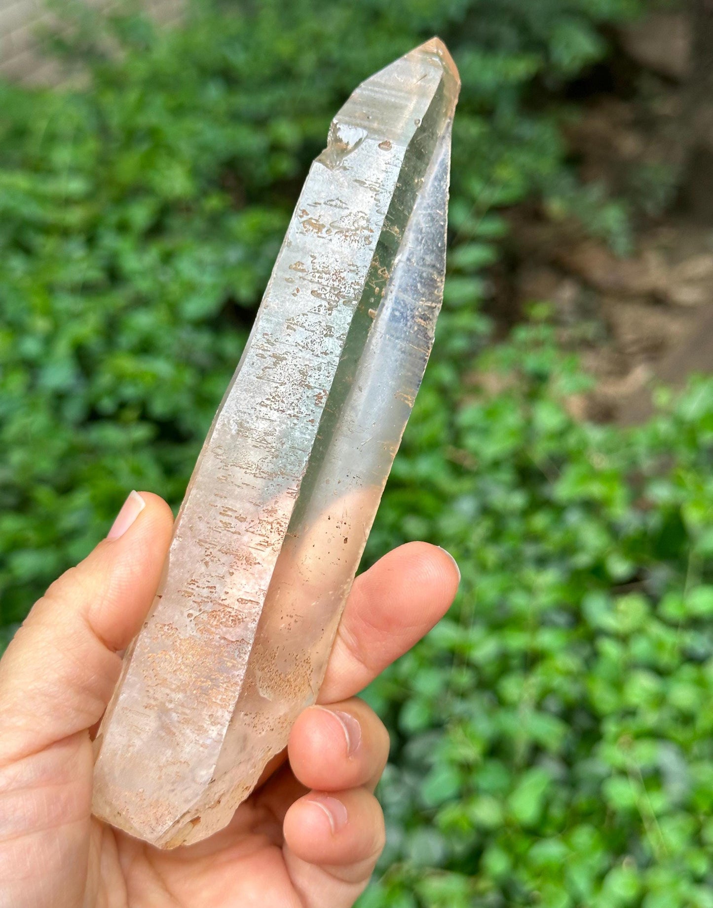 Clear Raw Muzo Lemurian Seeds Quartz Crystal/Muzo Laser Knife Crystal/Akashic Striation/Healing/Meditation-156 g