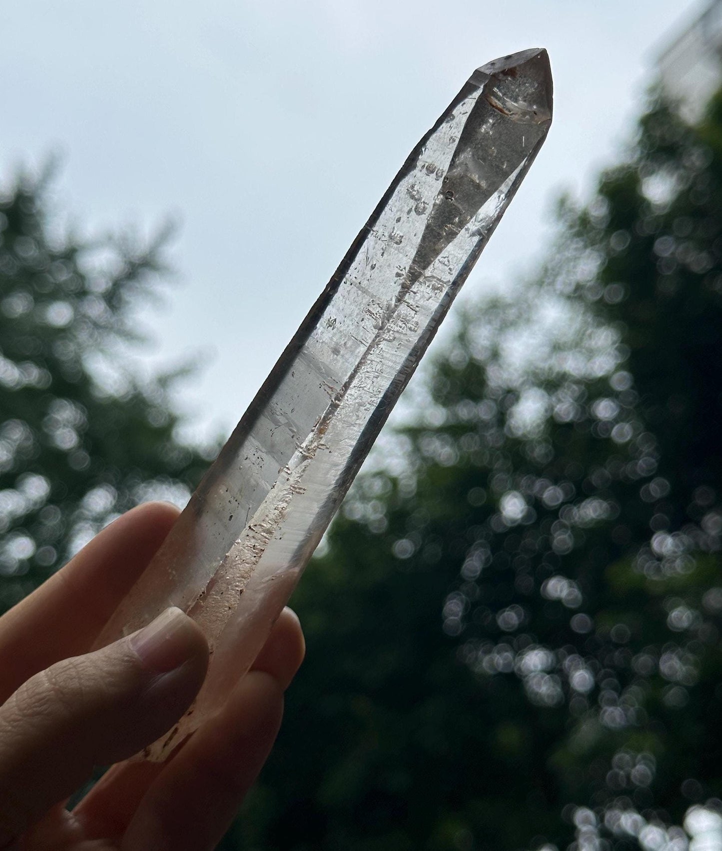 Clear Raw Muzo Lemurian Seeds Quartz Crystal/Muzo Laser Knife Crystal/Akashic Striation/Healing/Meditation-156 g