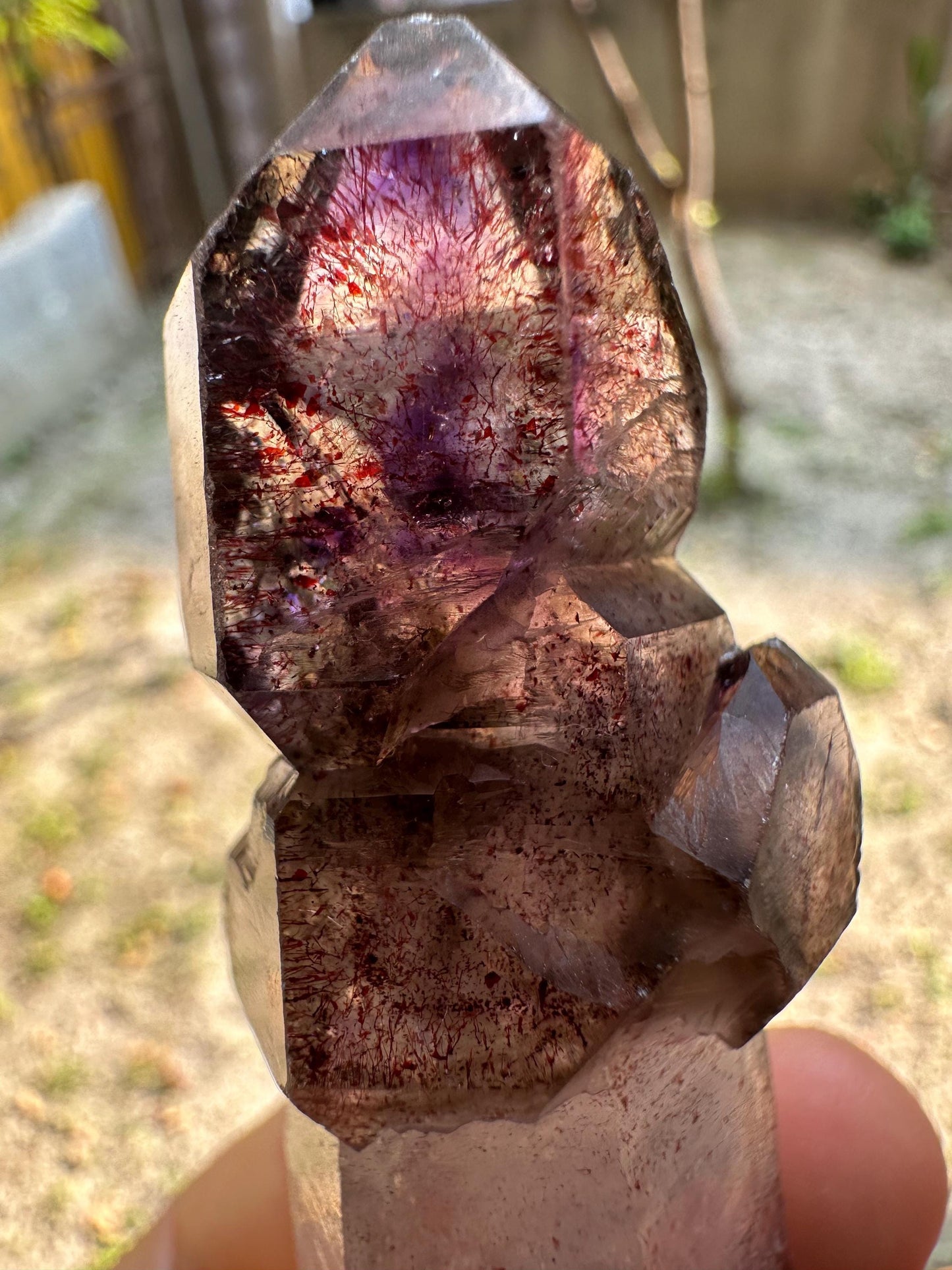 Rare Clear Super 7 Amethyst Quartz Scepter Crystal Point Pyramid Included/Specimen/Super energy Healing Crystal/Reiki- 70 g