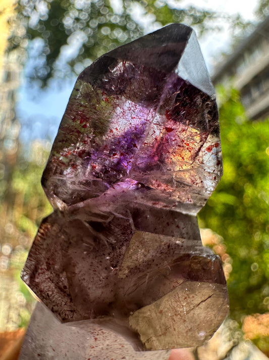 Rare Clear Super 7 Amethyst Quartz Scepter Crystal Point Pyramid Included/Specimen/Super energy Healing Crystal/Reiki- 70 g