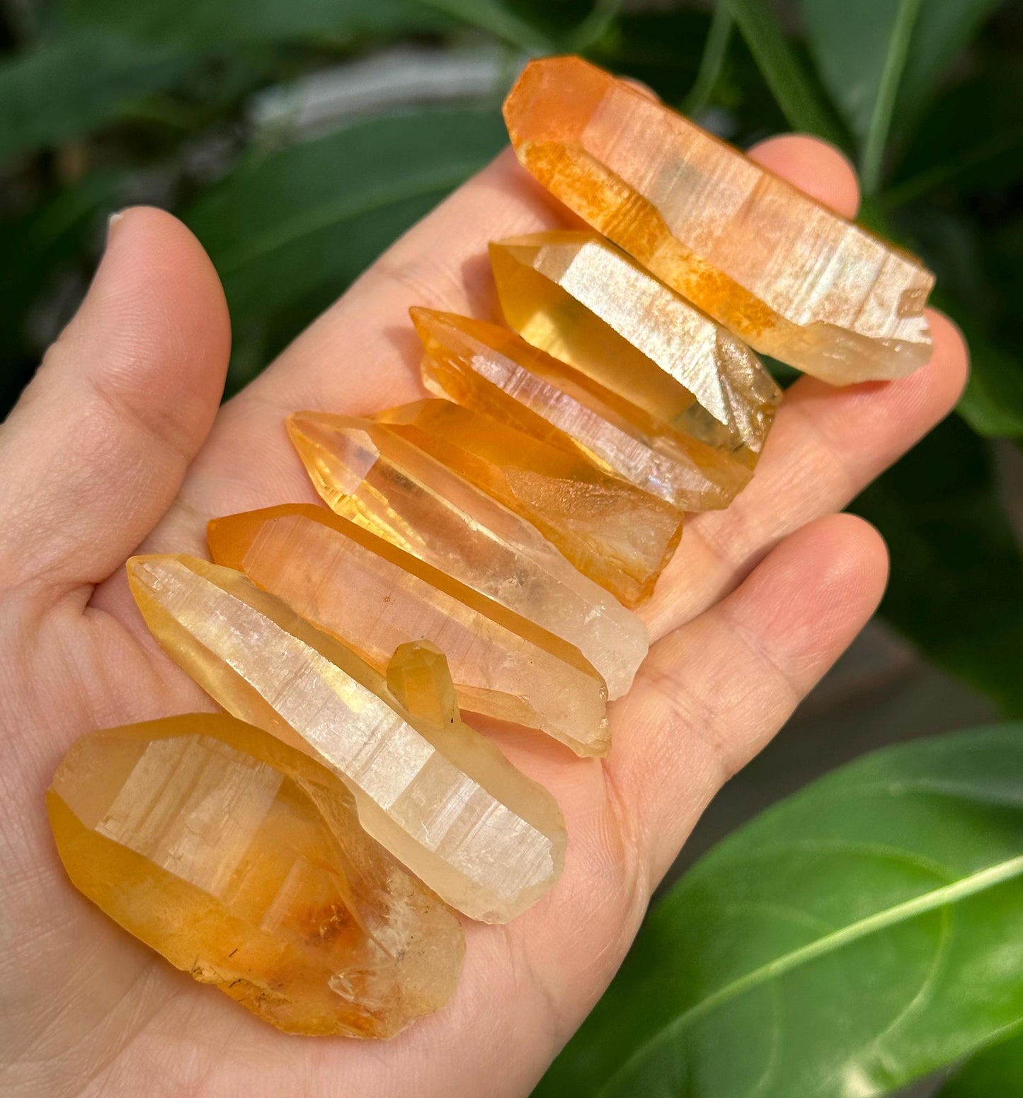 You Pick!Rare Golden Himalayan Quartz Aura Crystal/Hematite Rainbow Tibet Energy Crystal/Reiki/Healing/Meditation/Jewelry Making/Specimen