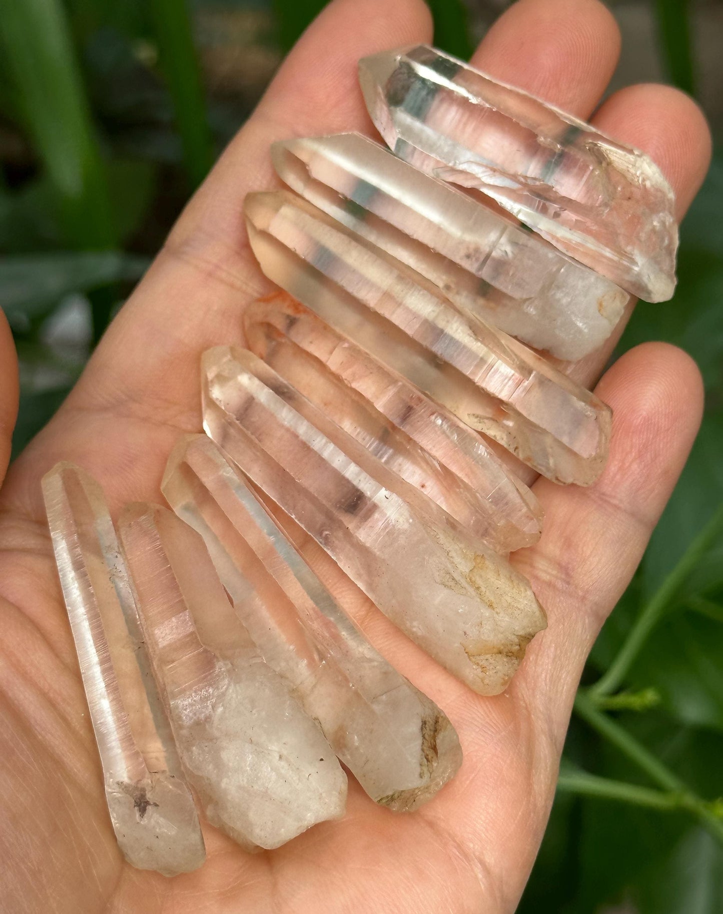 8 pcs Clear Himalayan Lemurian Seeds Quartz Crystal Point/Akashic Striation Energy Crystal/Reiki/Healing Crystal/Meditation