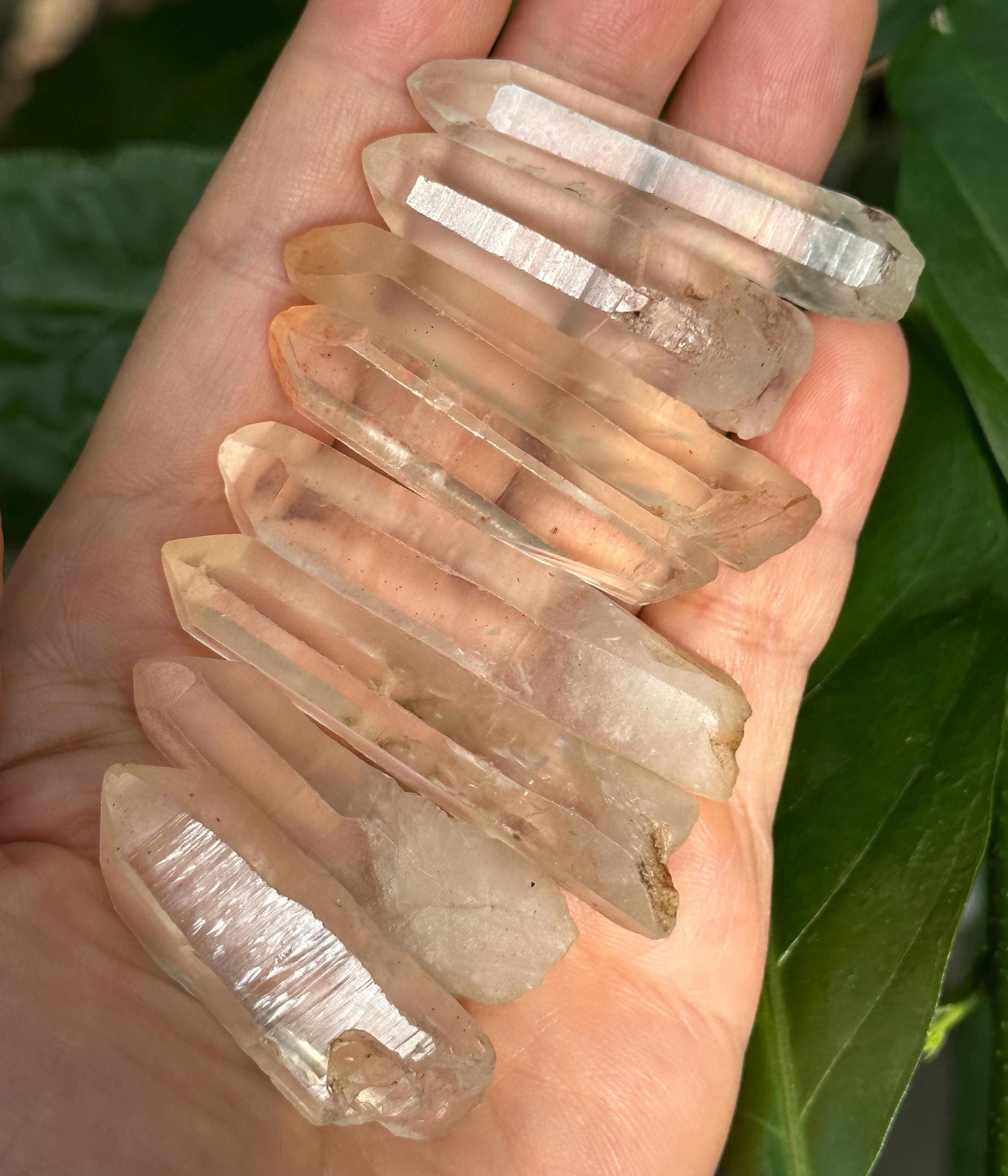 8 pcs Clear Himalayan Lemurian Seeds Quartz Crystal Point/Akashic Striation Energy Crystal/Reiki/Healing Crystal/Meditation