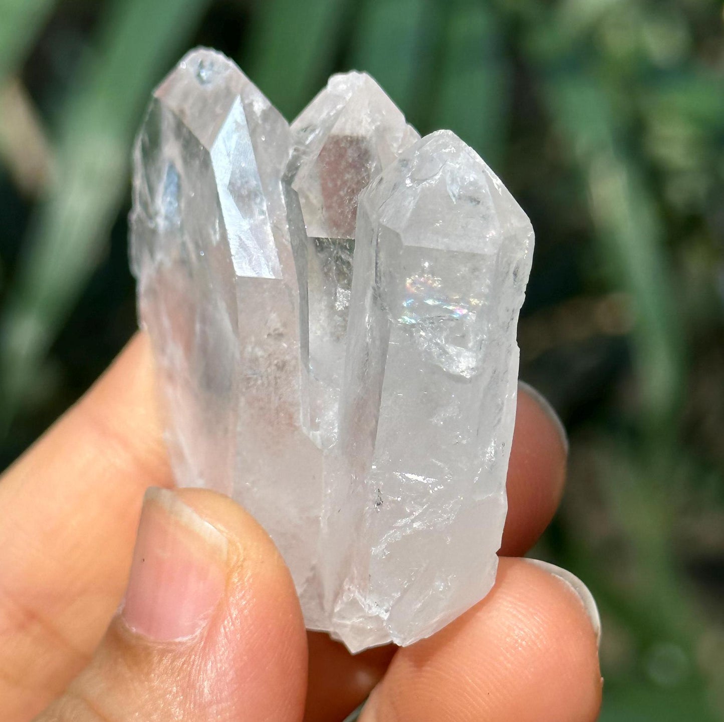 Tabular Rainbow Himalayan Faden Quartz Crystal Cluster from Pakistan/Crystal Healing/Meditation/Worry Stone-35 g