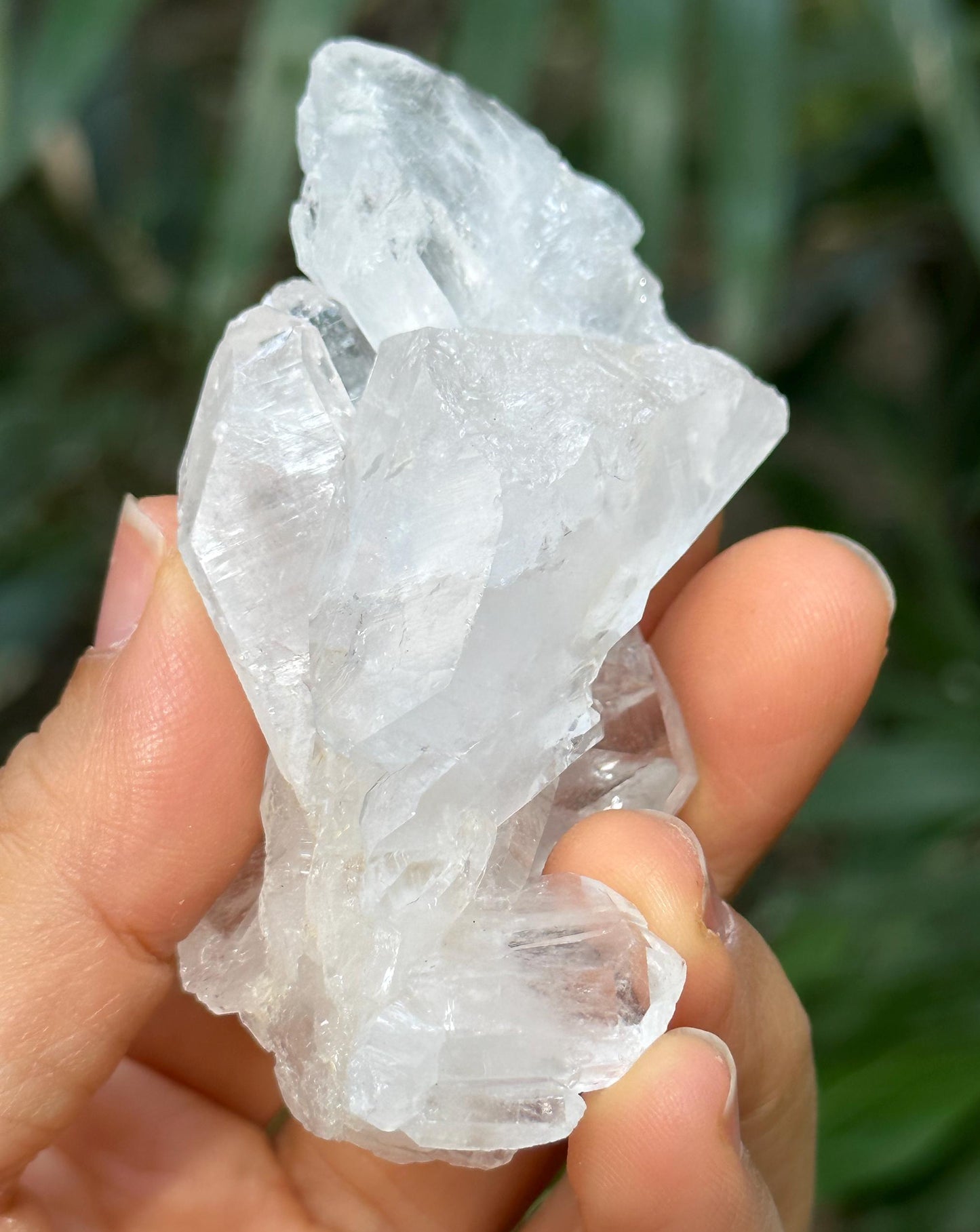 Shining Double Terminated Himalayan Faden Quartz Crystal from Pakistan/Crystal Cluster/Crystal Healing/Meditation/Healing/Collection-77 g