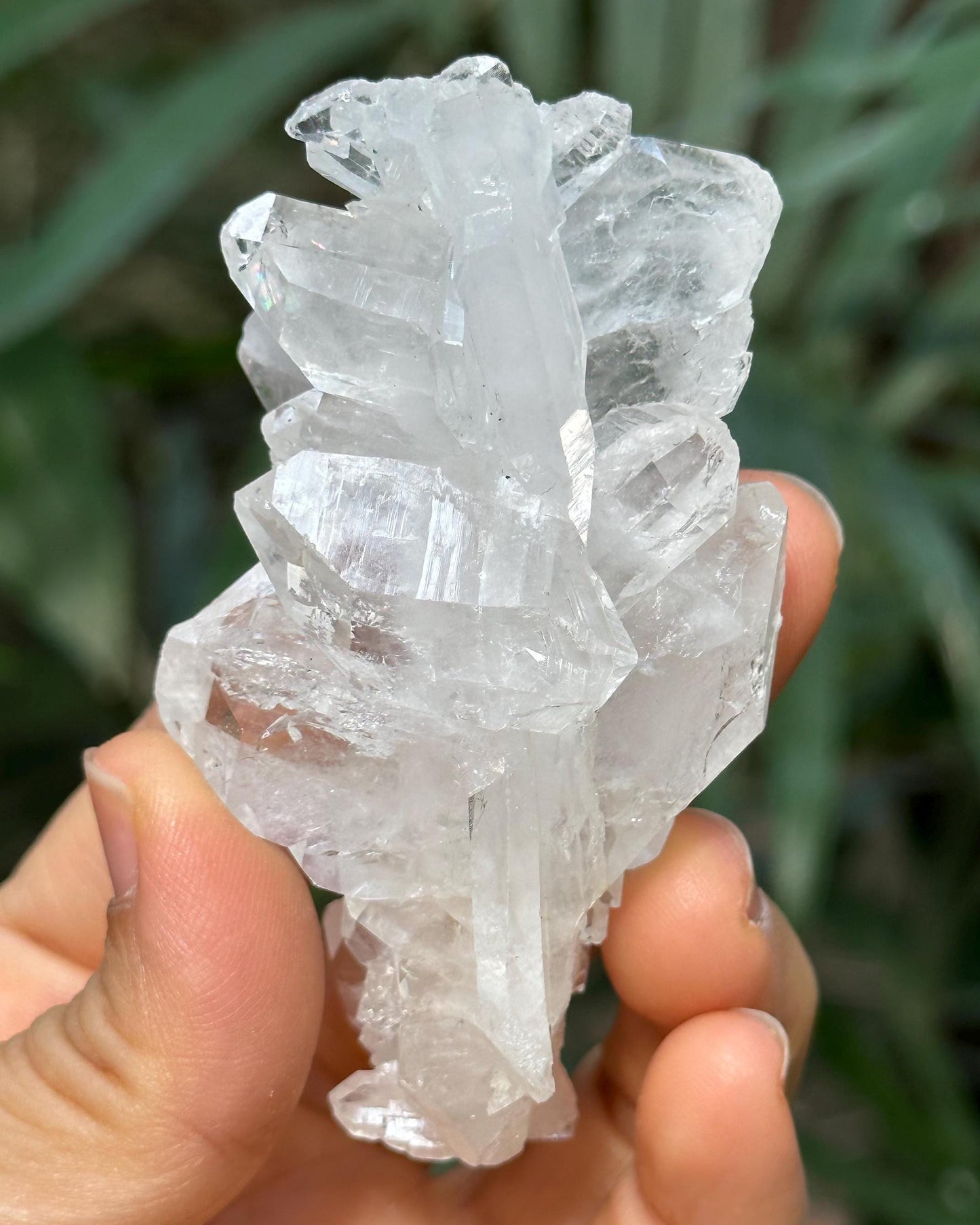 Shining Double Terminated Himalayan Faden Quartz Crystal from Pakistan/Crystal Cluster/Crystal Healing/Meditation/Healing/Collection-77 g