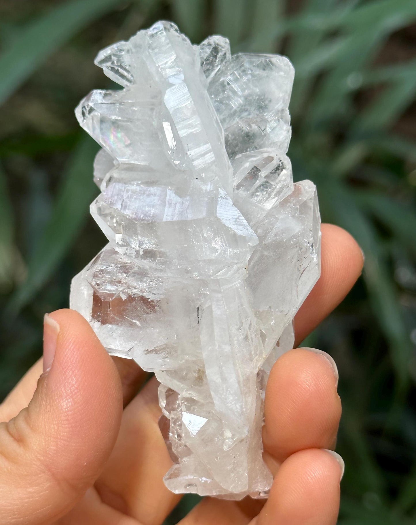 Shining Double Terminated Himalayan Faden Quartz Crystal from Pakistan/Crystal Cluster/Crystal Healing/Meditation/Healing/Collection-77 g