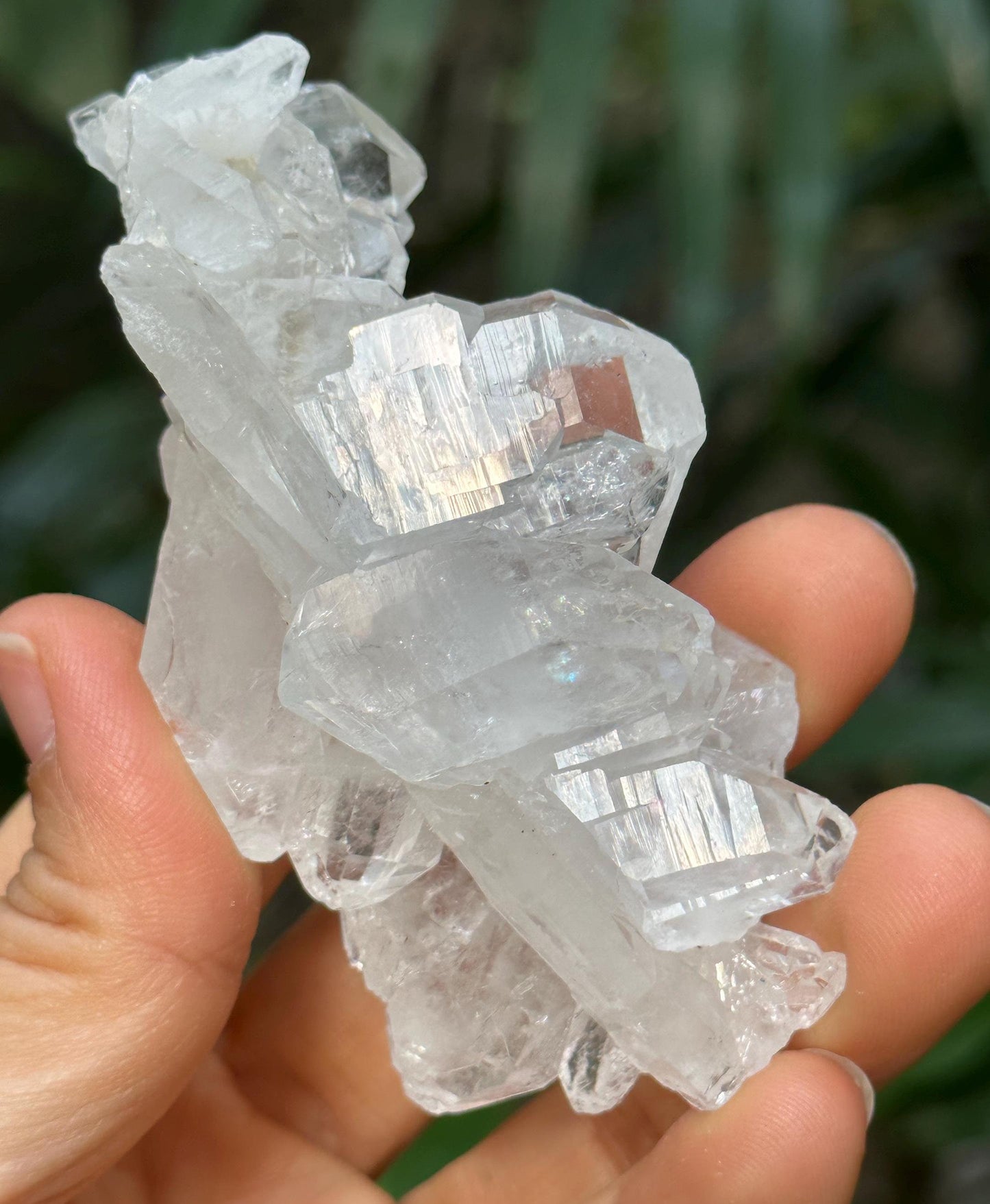 Shining Double Terminated Himalayan Faden Quartz Crystal from Pakistan/Crystal Cluster/Crystal Healing/Meditation/Healing/Collection-77 g