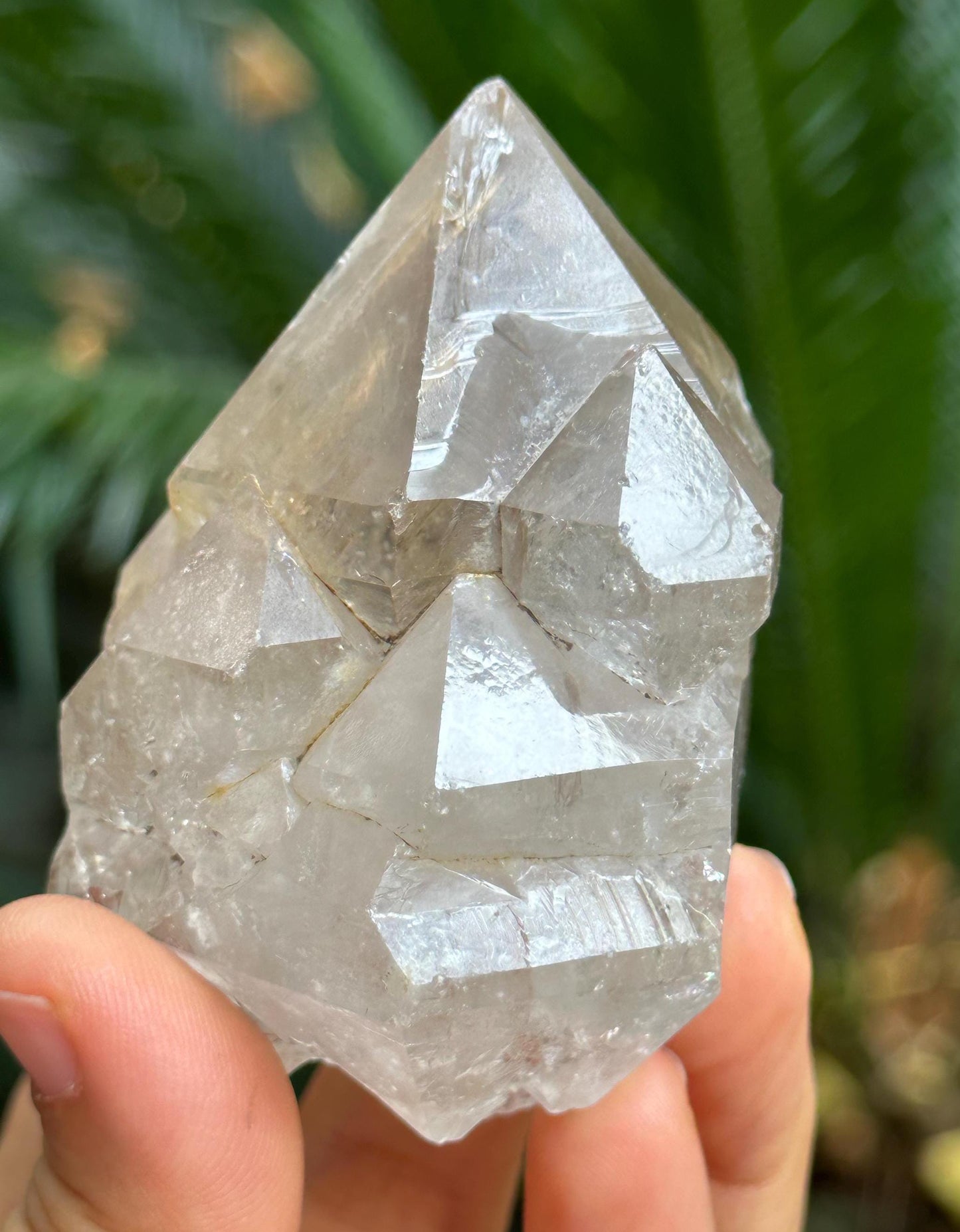 Natural Castle Quartz Scepter Skeletal Crystal/Elestial Crystal/Energy/Reiki/Healing/Meditation/Crystal Collection -201 g