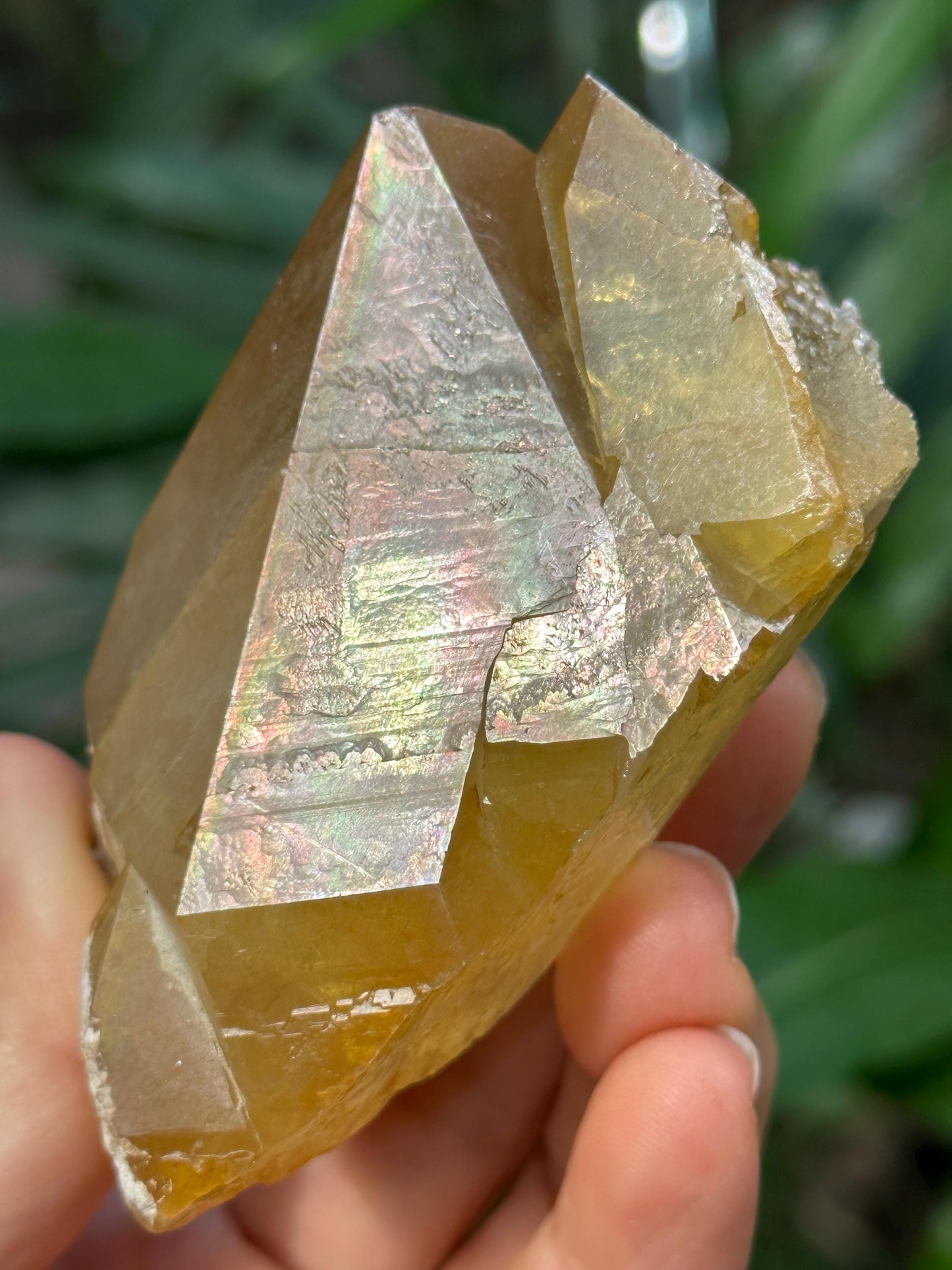 Rare Twins Rainbow Golden Himalayan Quartz Natural Aura Crystal/Tibet Energy Crystal/Reiki/Healing/Meditation/Collection/Specimen-219 g