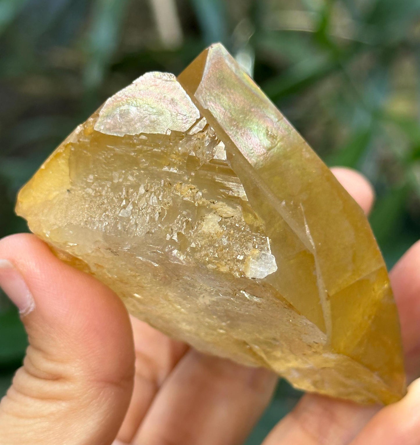 Rare Twins Rainbow Golden Himalayan Quartz Natural Aura Crystal/Tibet Energy Crystal/Reiki/Healing/Meditation/Collection/Specimen-219 g