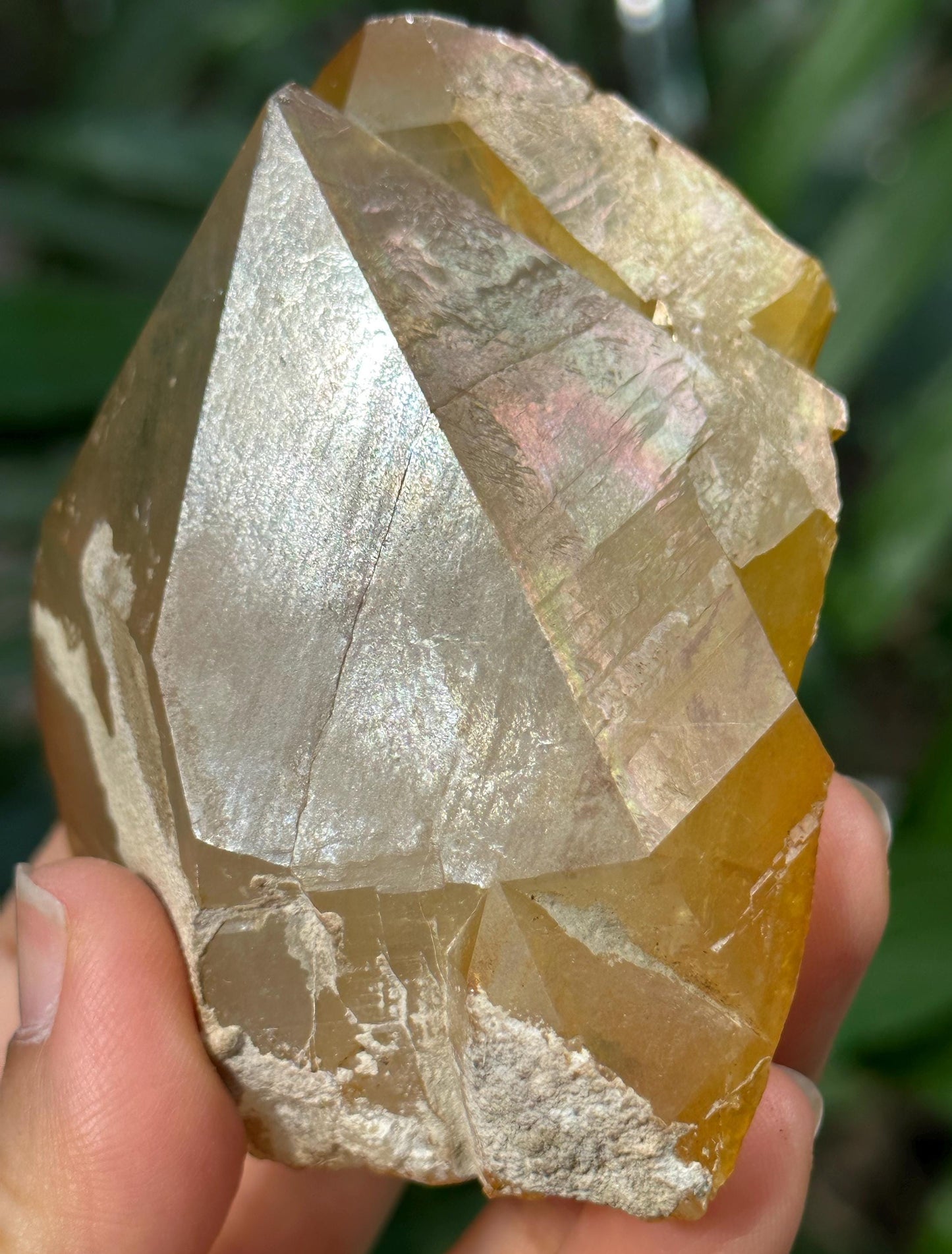 Rare Twins Rainbow Golden Himalayan Quartz Natural Aura Crystal/Tibet Energy Crystal/Reiki/Healing/Meditation/Collection/Specimen-219 g