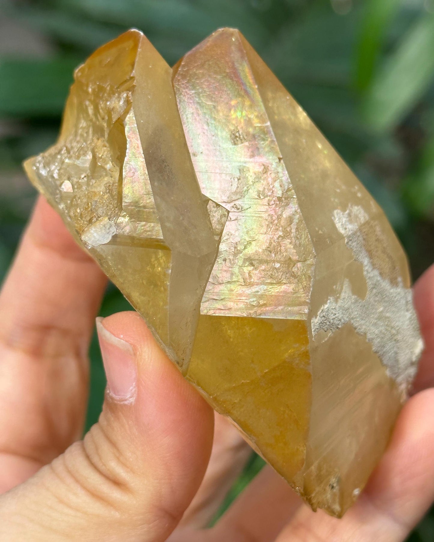 Rare Twins Rainbow Golden Himalayan Quartz Natural Aura Crystal/Tibet Energy Crystal/Reiki/Healing/Meditation/Collection/Specimen-219 g