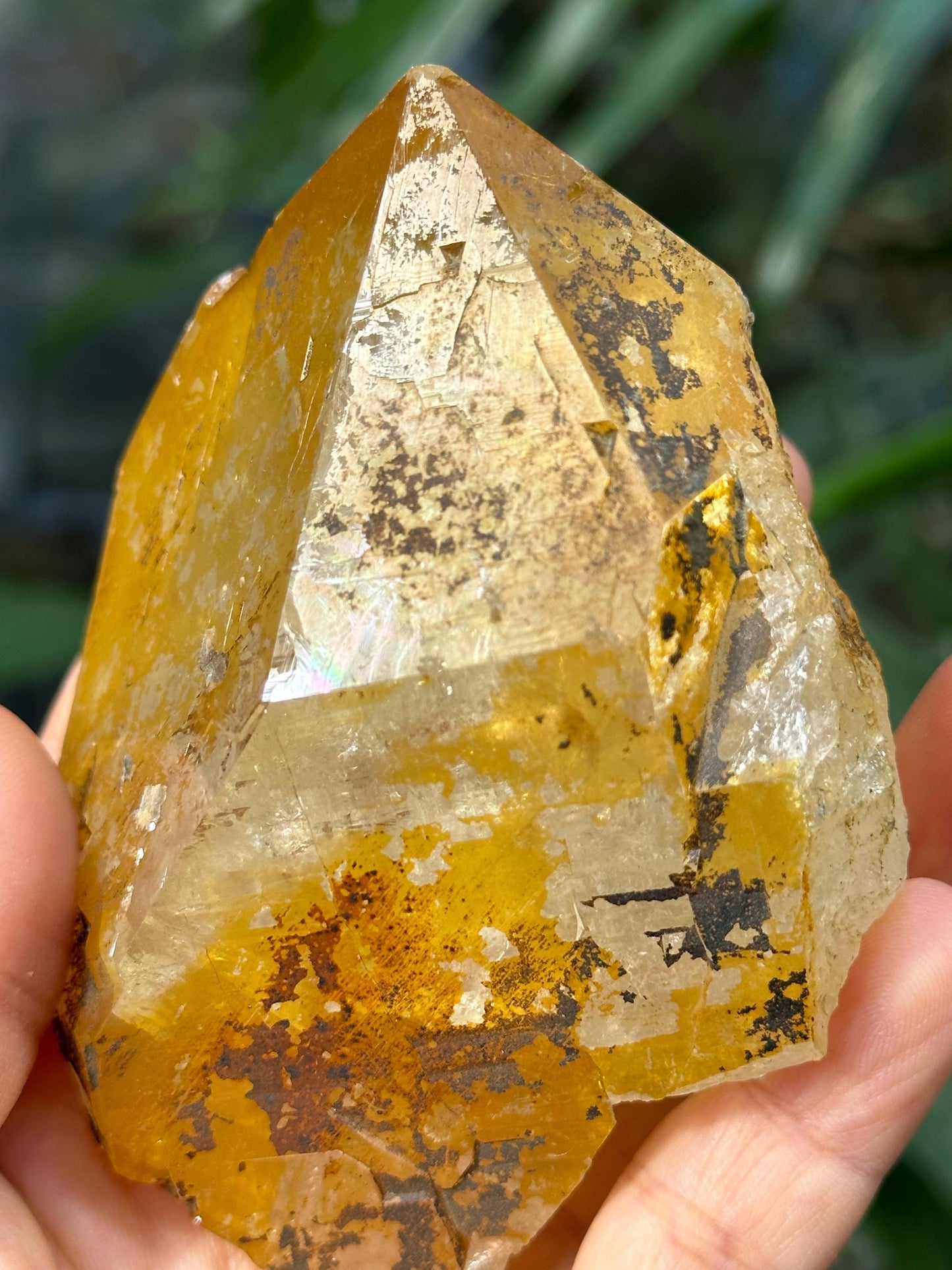 Rare Natural Rainbow Golden Himalayan Quartz Aura Crystal/Tibet Energy Crystal/Reiki/Healing/Meditation/Collection/Specimen-308 g