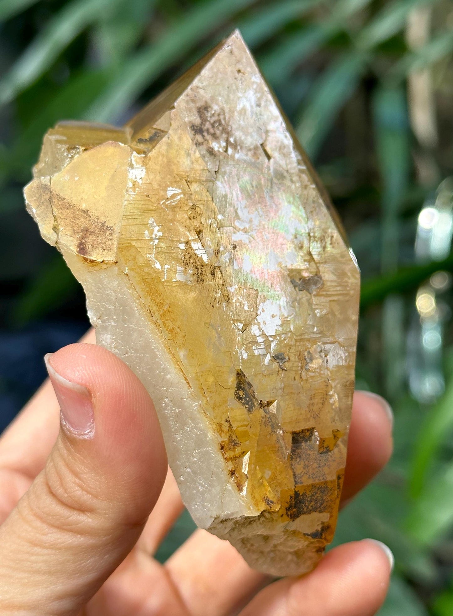 Rare Natural Rainbow Golden Himalayan Quartz Aura Crystal/Tibet Energy Crystal/Reiki/Healing/Meditation/Collection/Specimen-308 g