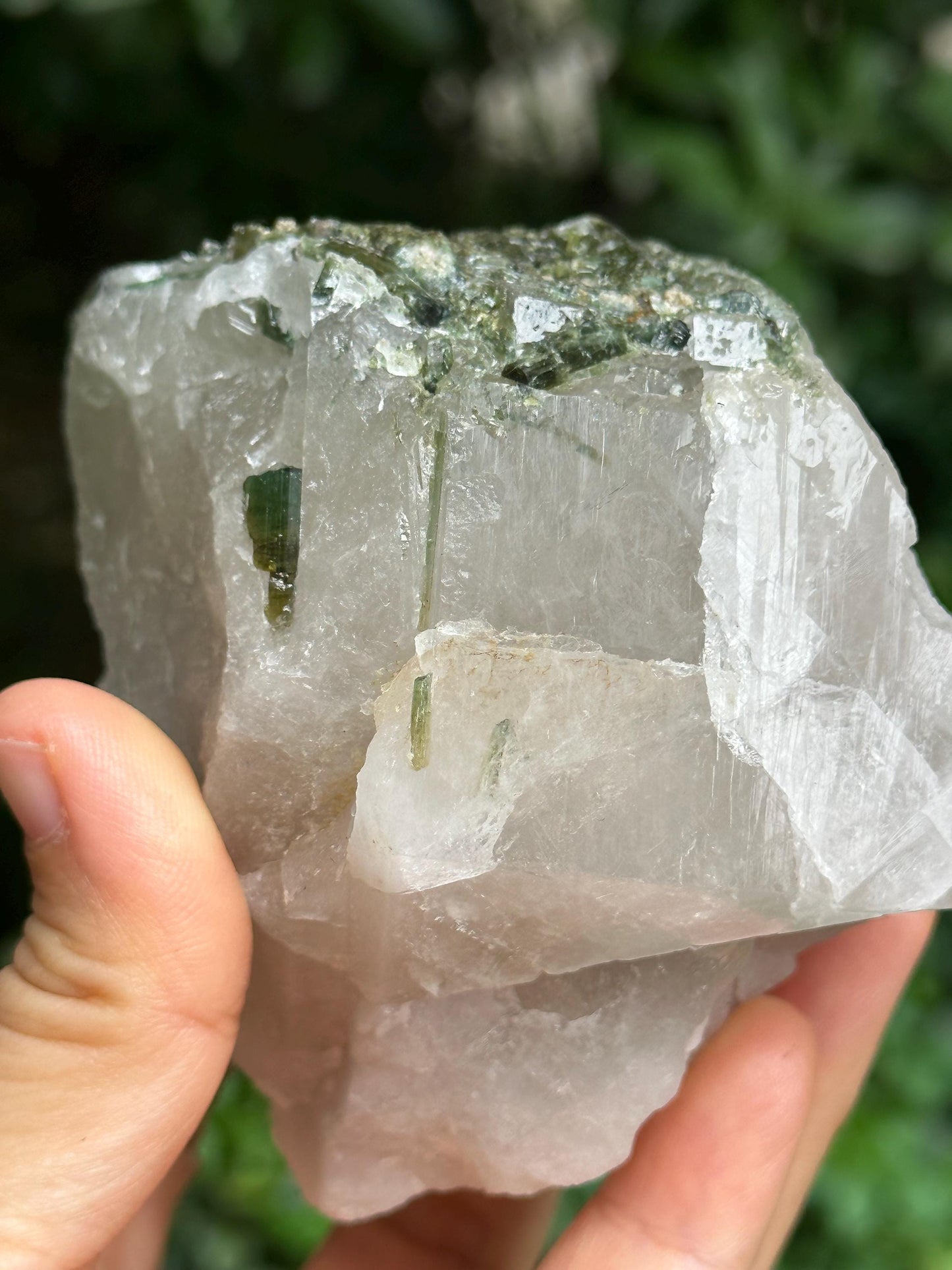 Rare Raw Green+Watermelon Tourmaline Grow With Smoky Quartz Crystal Stone/Rough Green Tourmaline Specimen/Collection/Meditation/Healing-528g