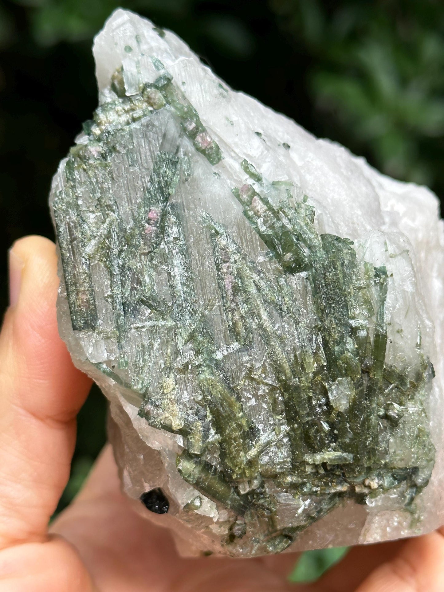 Rare Raw Green+Watermelon Tourmaline Grow With Smoky Quartz Crystal Stone/Rough Green Tourmaline Specimen/Collection/Meditation/Healing-528g