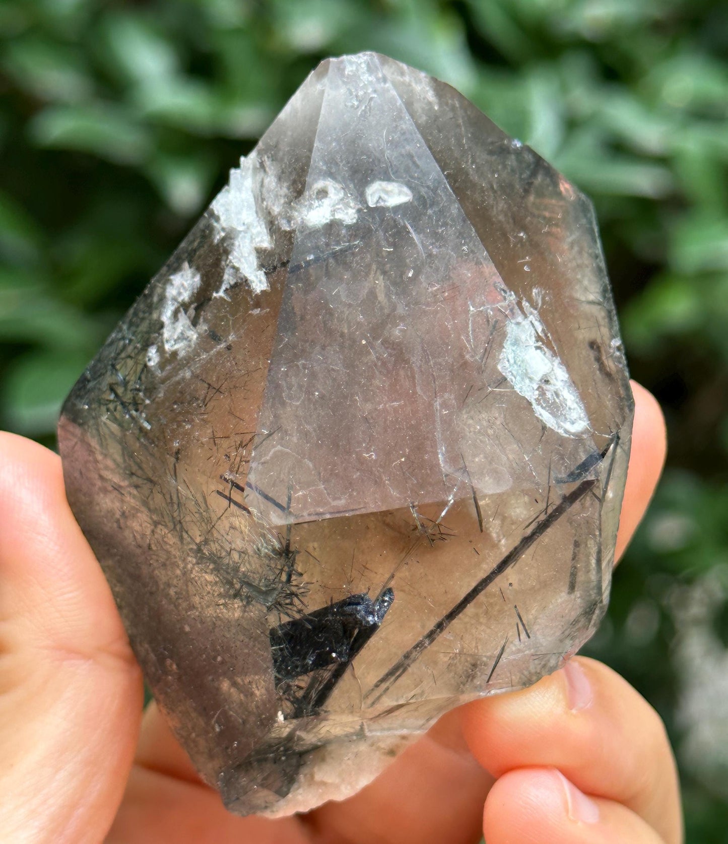 Rare Raw Black Tourmaline Grow With Citrine Quartz Record-keeper Crystal Stone/Rough Tourmaline Specimen/Collection/Meditation/Healing-173 g