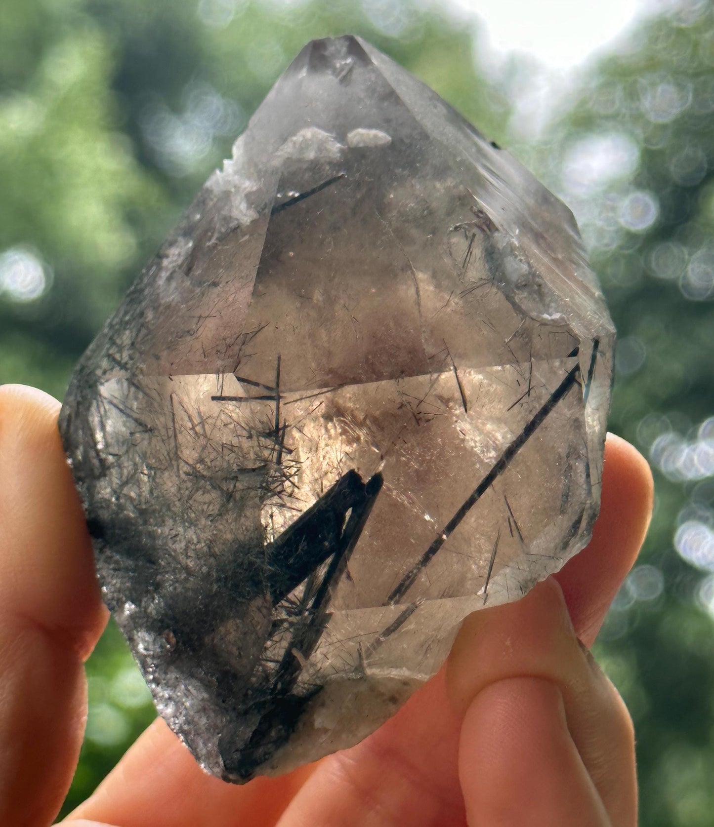 Rare Raw Black Tourmaline Grow With Citrine Quartz Record-keeper Crystal Stone/Rough Tourmaline Specimen/Collection/Meditation/Healing-173 g