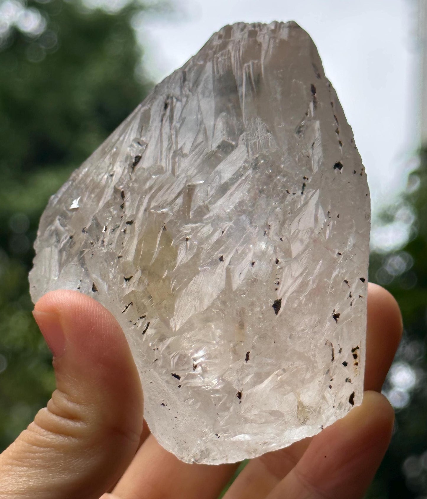 Himalayan Nirvana Record-keeper Quartz Crystal/Self-healed Crystal/Erosioned Energy Crystal/Etched Healing/Meditation/Healing/Reiki/Zen-308g