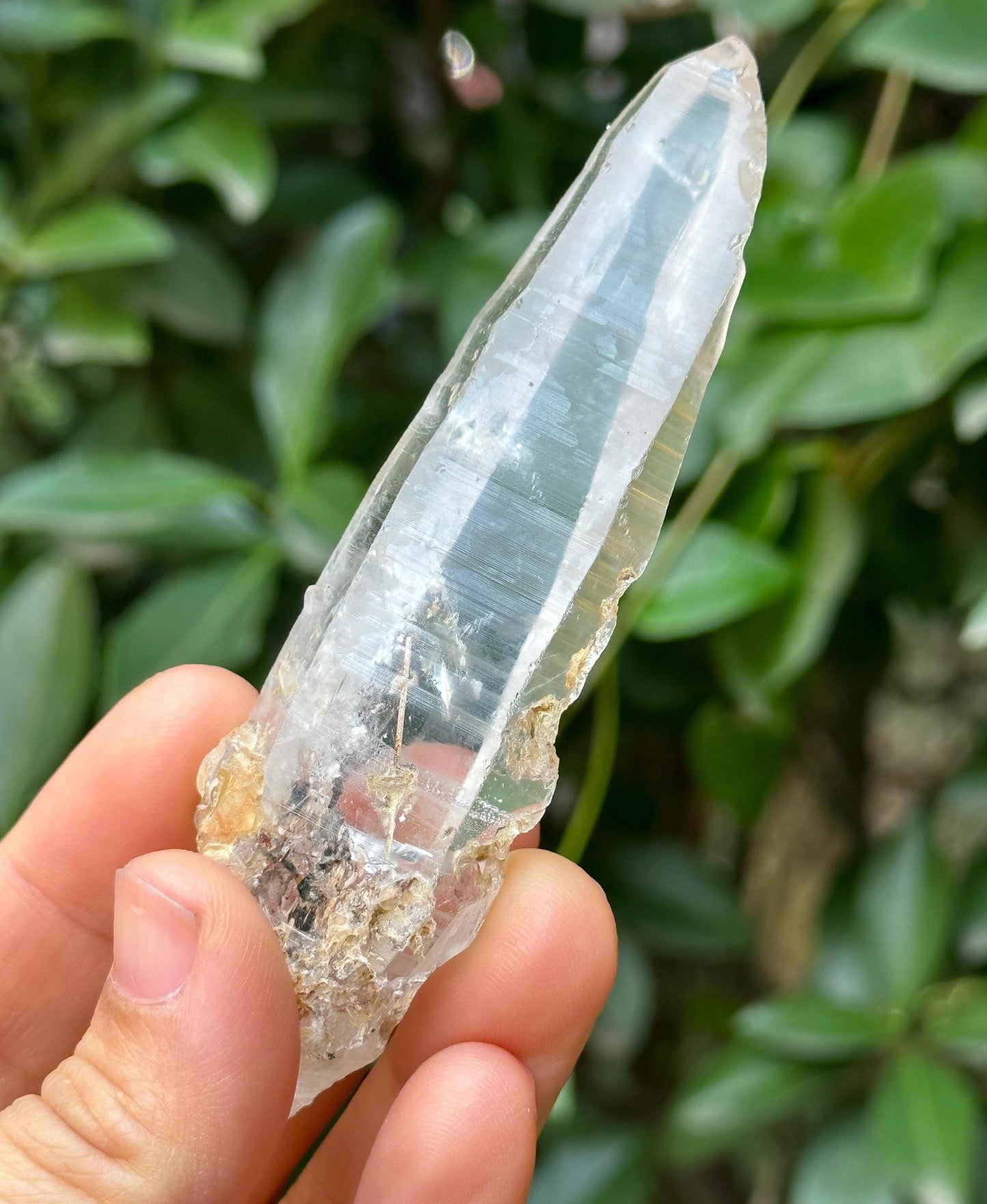 Clear Himalayan Lemurian Laser Quartz Crystal Wand Tourmaline Included/Energy/Reiki/Healing/Meditation/Collection/Generator Crystal -71 g