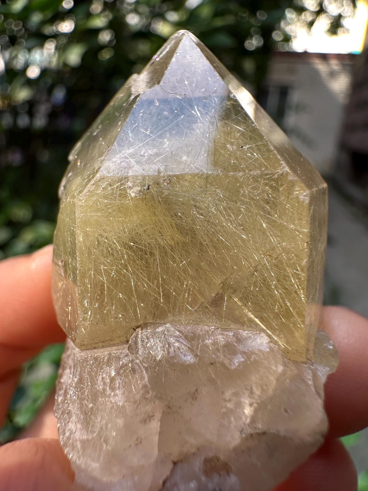 Rare Raw Clear Golden Rutile Quartz Crystal Point/Rutilated Golden Needles Included Energy Crystal/Reiki/Healing Crystal/Meditation-43 g