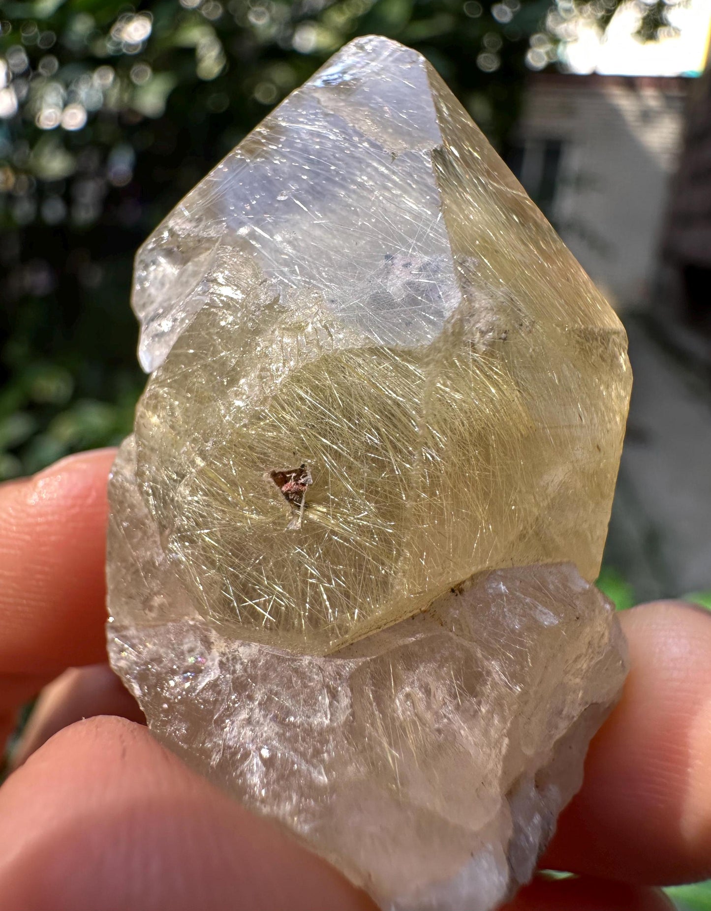 Rare Raw Clear Golden Rutile Quartz Crystal Point/Rutilated Golden Needles Included Energy Crystal/Reiki/Healing Crystal/Meditation-43 g