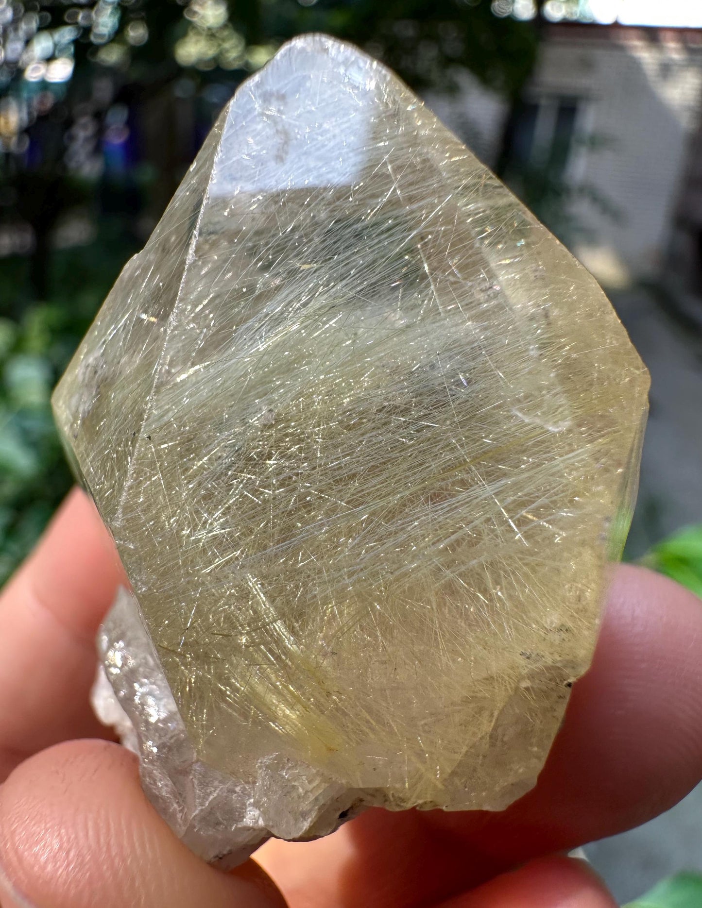 Rare Raw Clear Golden Rutile Quartz Crystal Point/Rutilated Golden Needles Included Energy Crystal/Reiki/Healing Crystal/Meditation-43 g