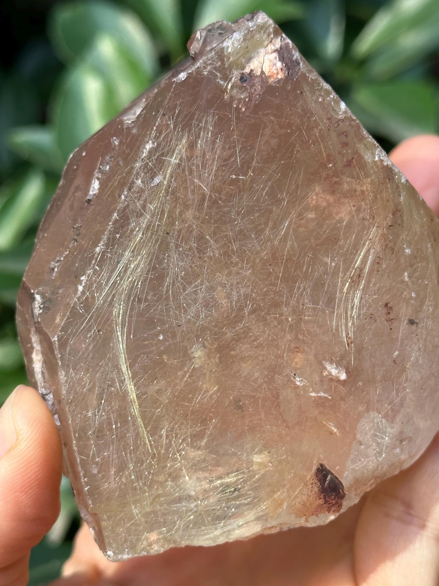 Rare Natural Clear Golden Rutile Quartz Crystal Point/Rutilated Golden Needles Included Energy Crystal/Reiki/Healing Crystal/Meditation-316g