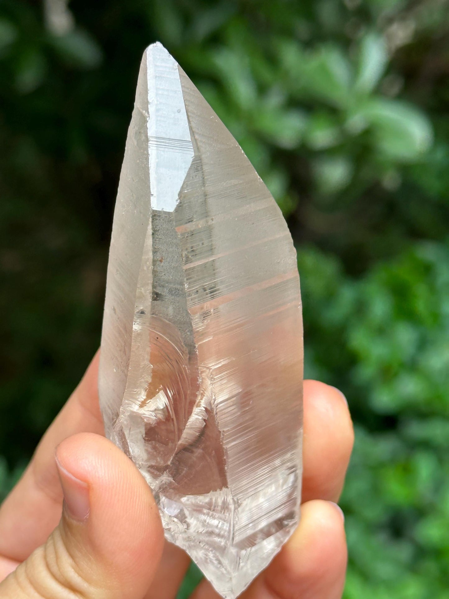 Rare Colombian Clear Lemurian Seeds Quartz Crystal/Clear Akashic Striation Energy Crystal/Reiki/Healing/Meditation-90 g